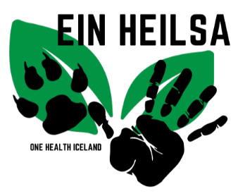 Ein Heilsa Ísland , Karl Karlsson