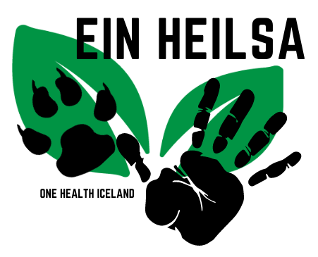 Ein Heilsa Ísland , Karl Karlsson