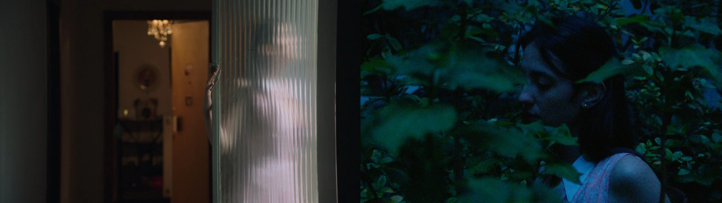 Sequence 01.00_00_33_05.Still002.jpg