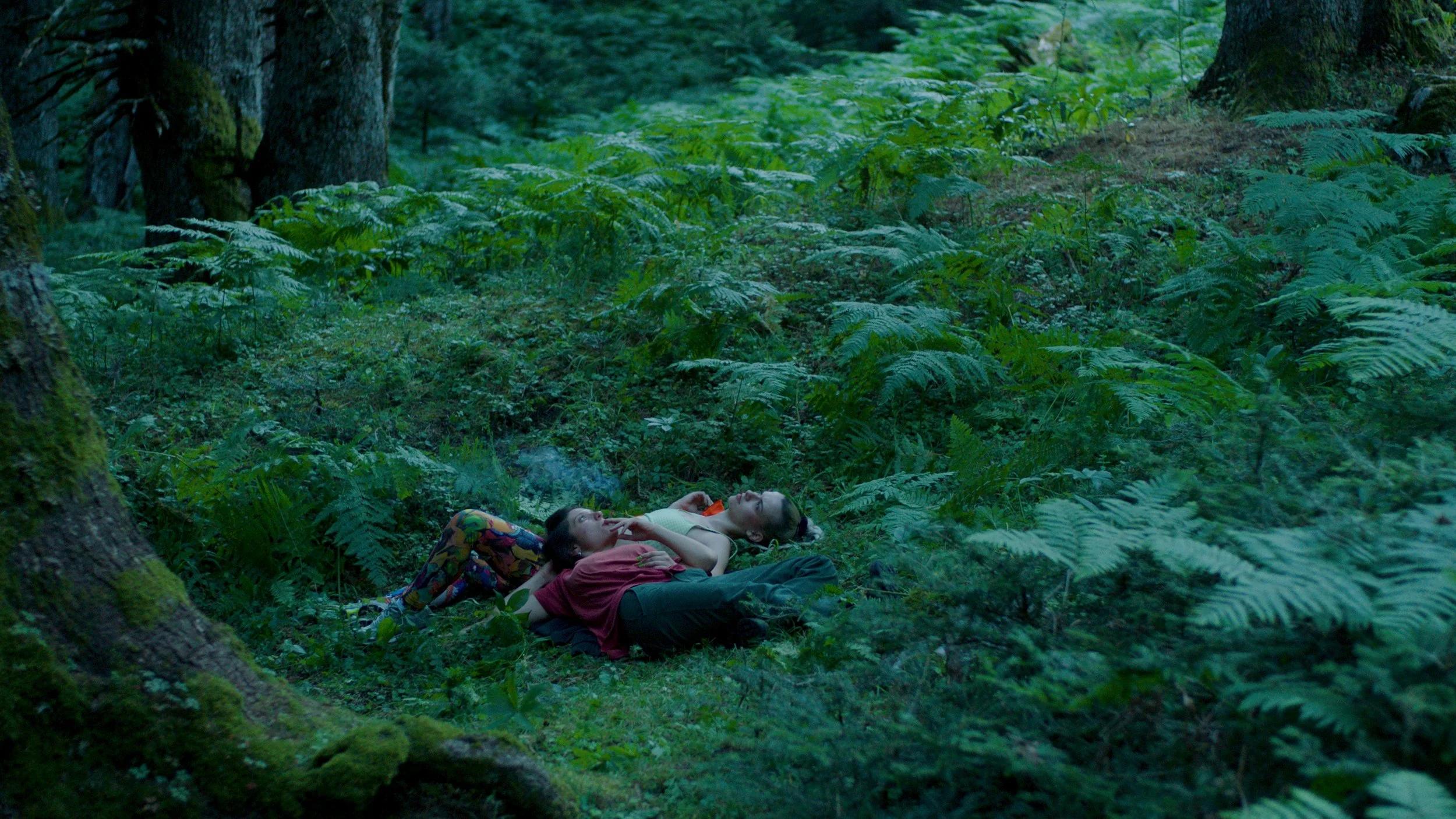 BEAR CAVE - SHORT - STILL - 007.jpeg