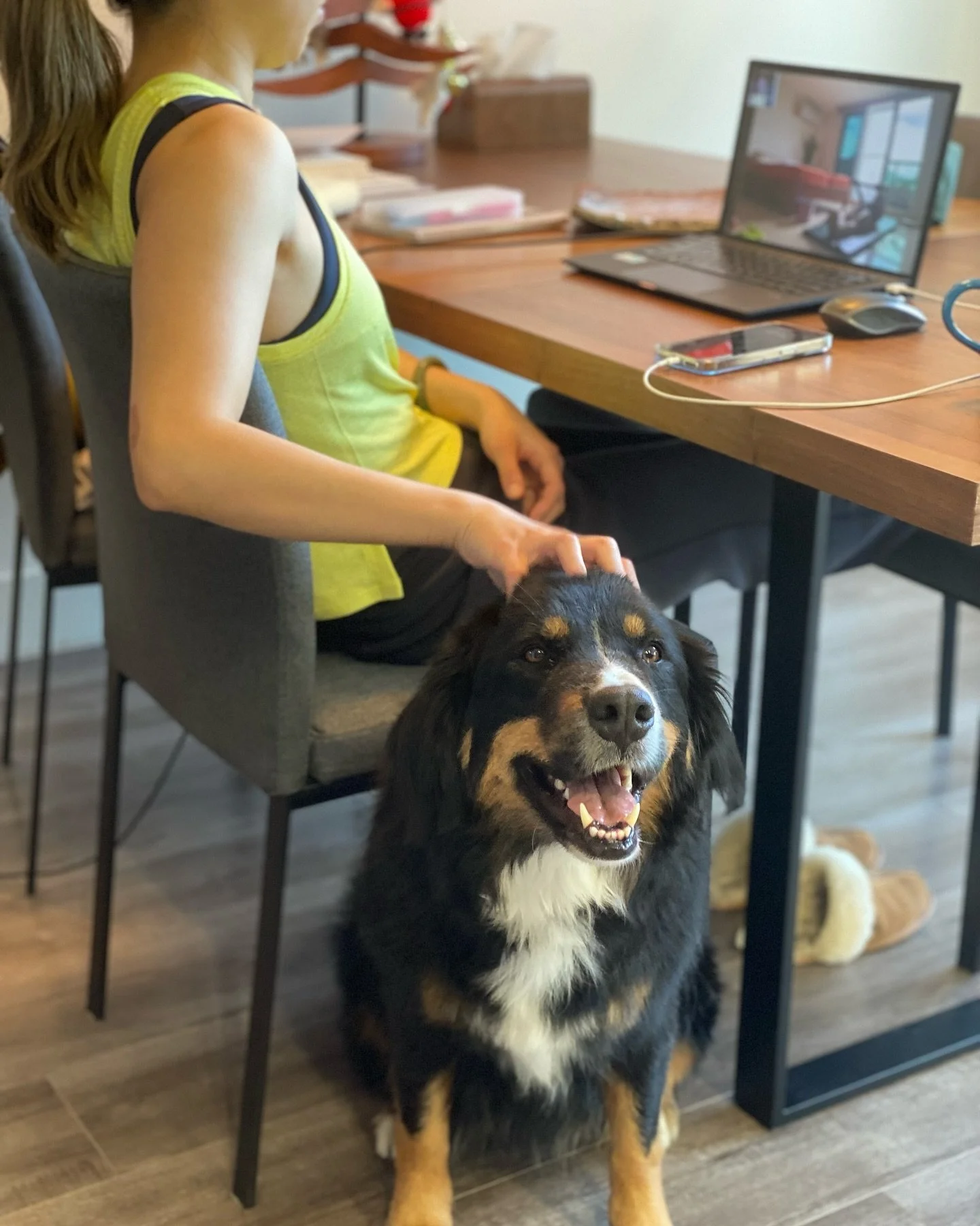 When you’re teaching online but your dog lets you know that giving her head scratches should always be the priority