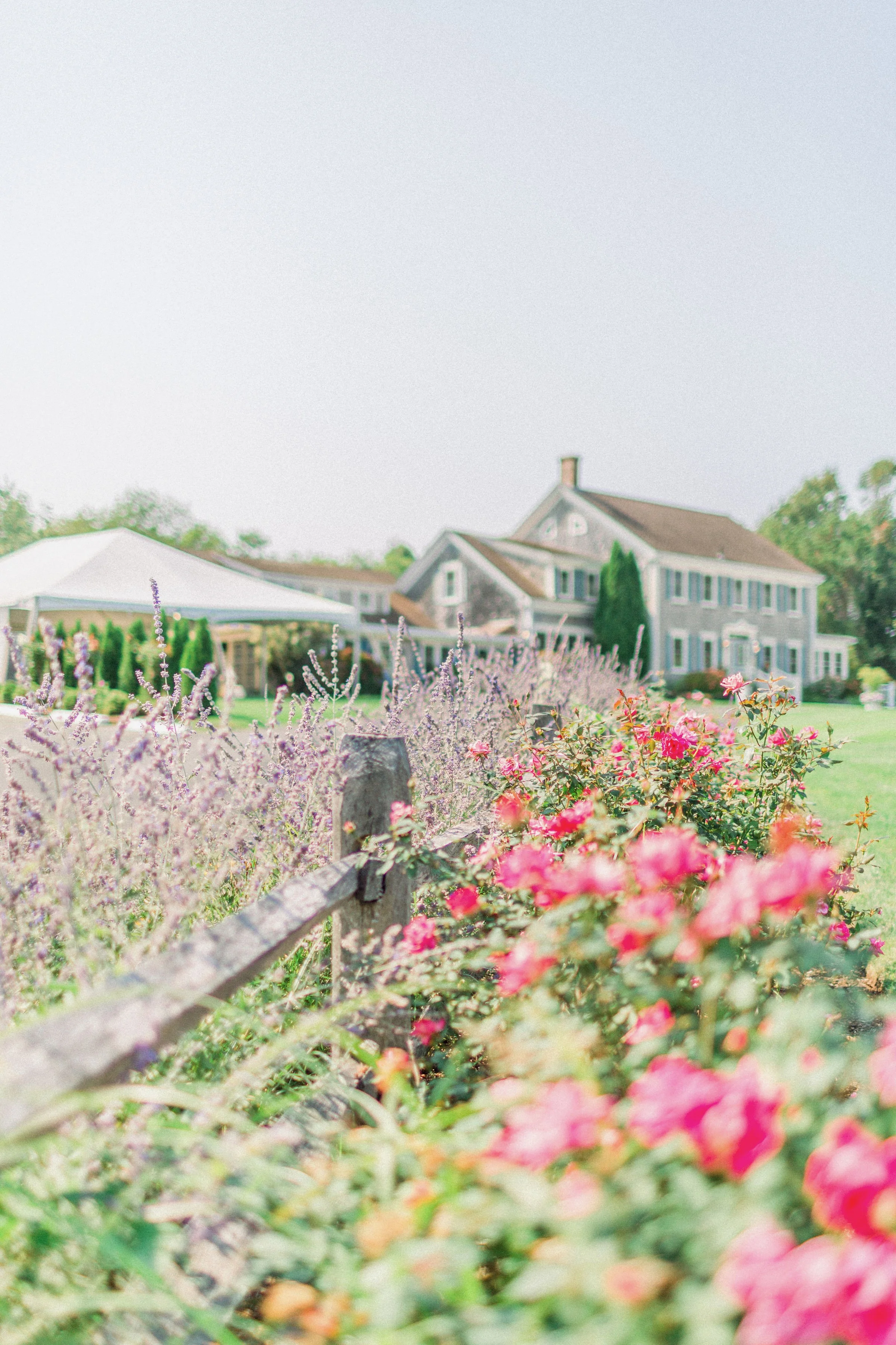 KellyDillonPhotographyTheDennisInnCapeCodWeddingPhotography44.jpeg