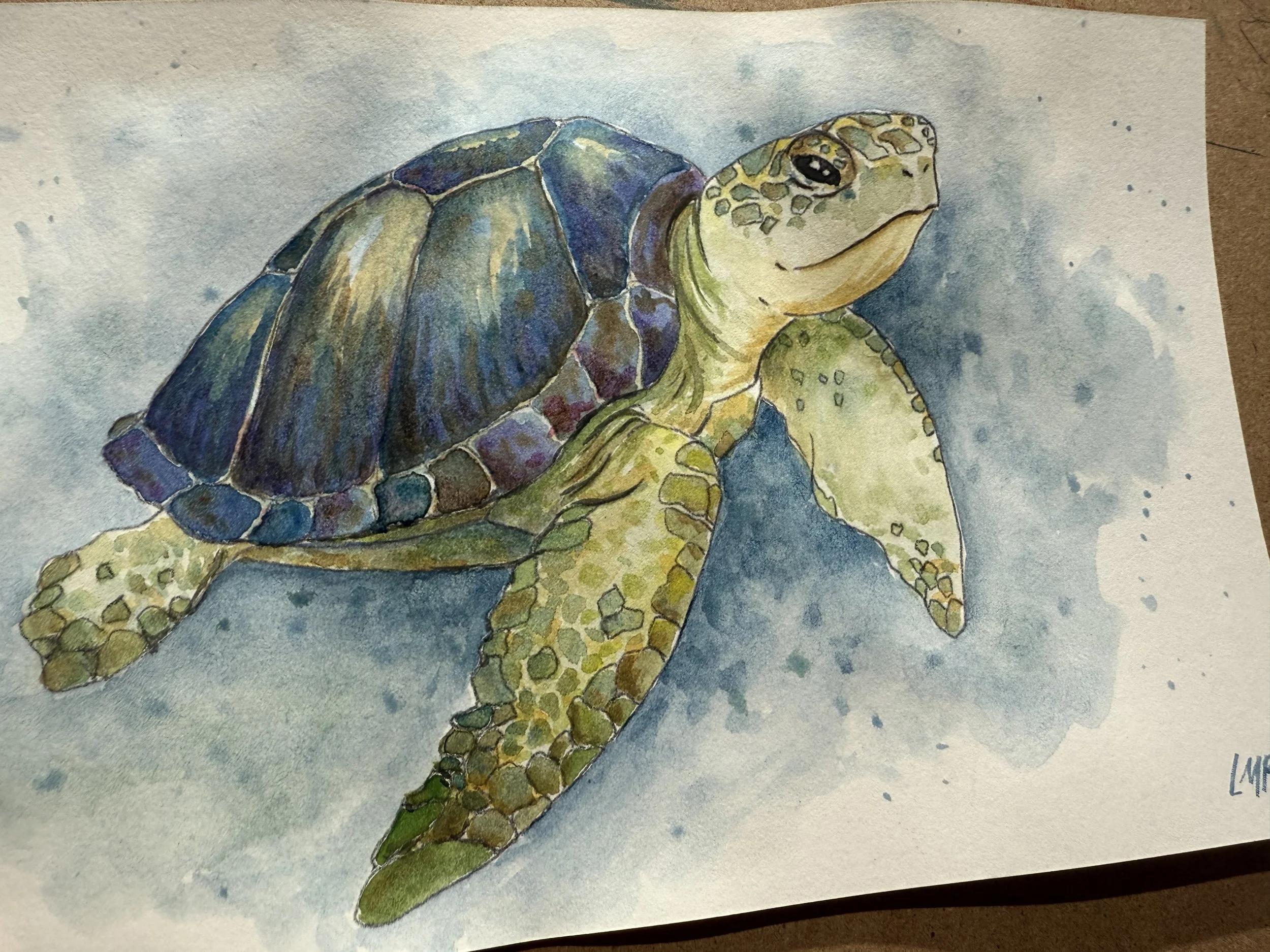 Sea Turtle