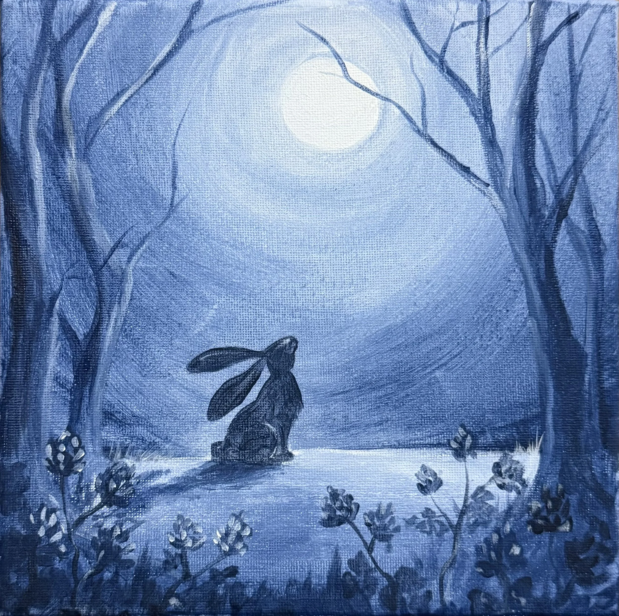 Rabbit in the moonlight