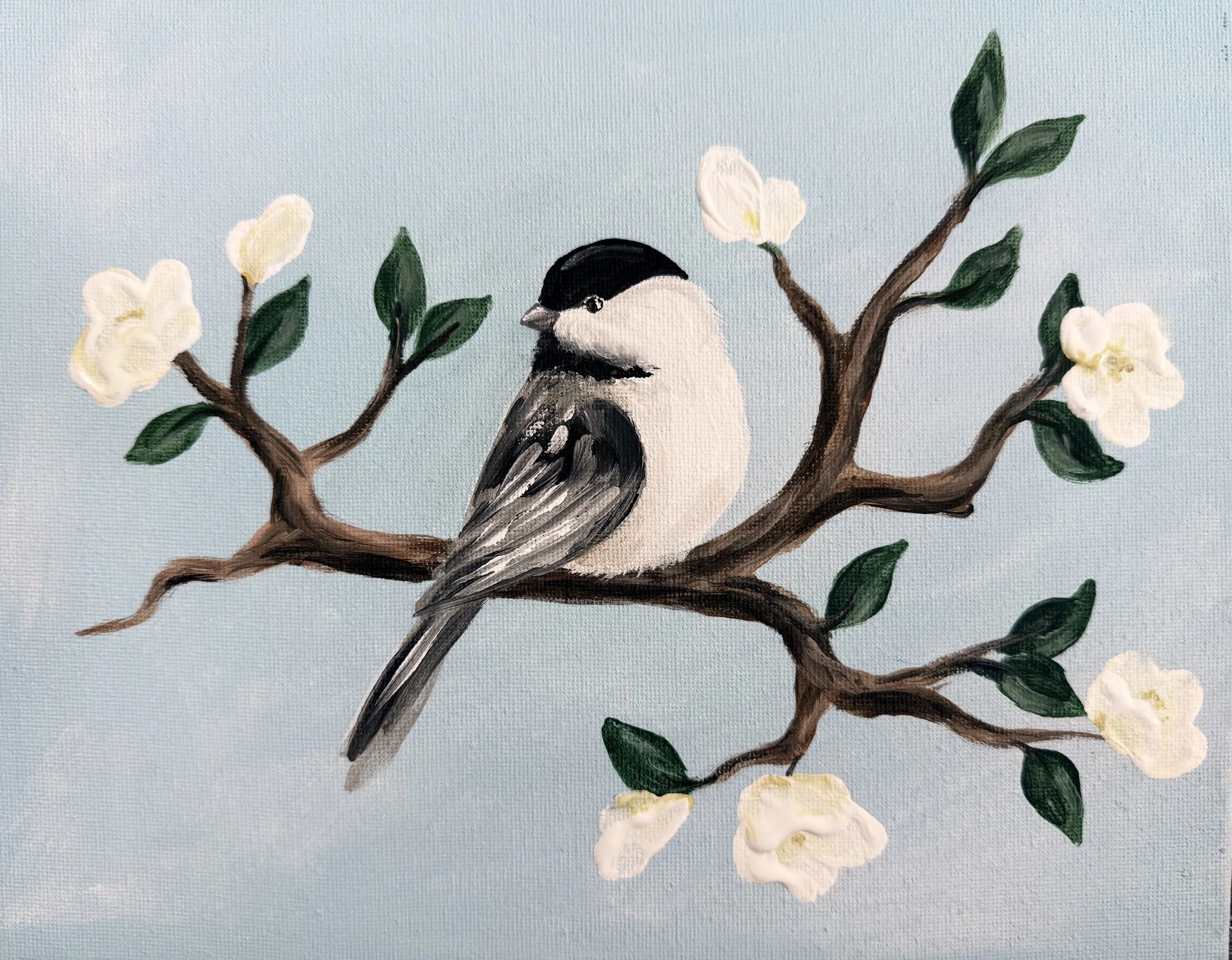 Spring Chickadee
