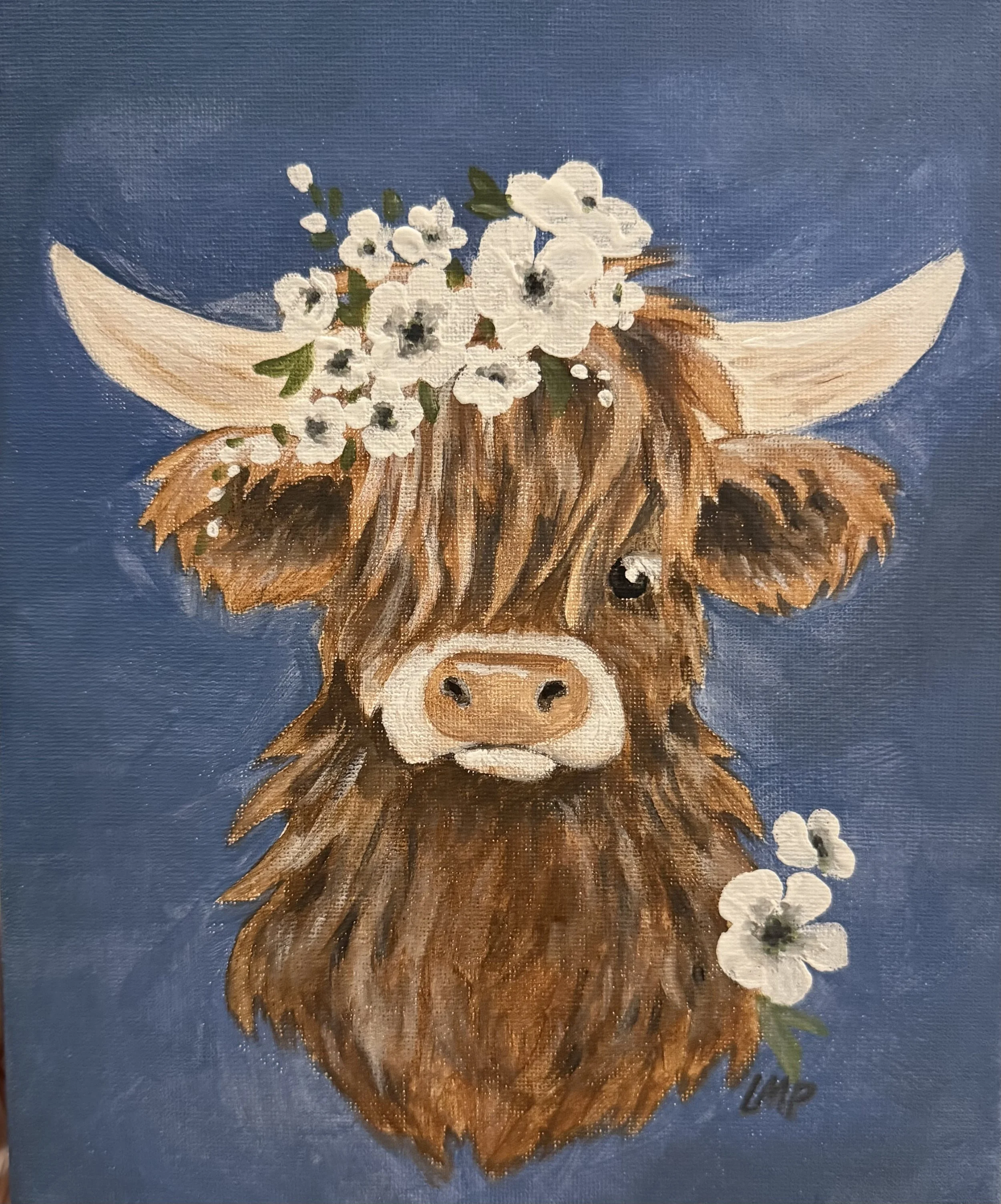 Little Highland!