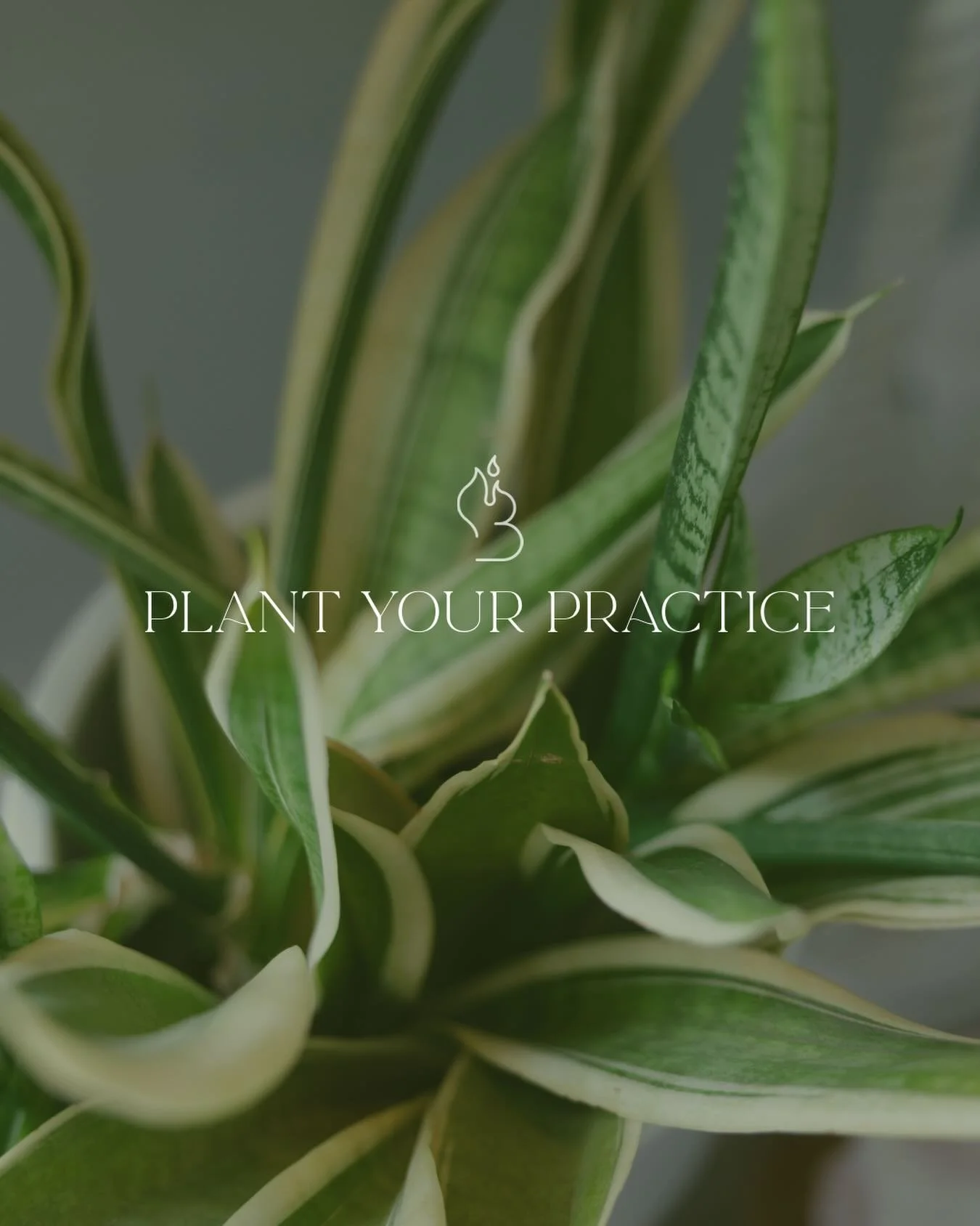 A special Earth Day class 🌎
 
Plant your practice in a powerful flow that grounds, expands, and invites you to root down so you can rise up. Each student will receive a randomly selected seed packet with a handwritten intention&mdash;trust it&rsquo;