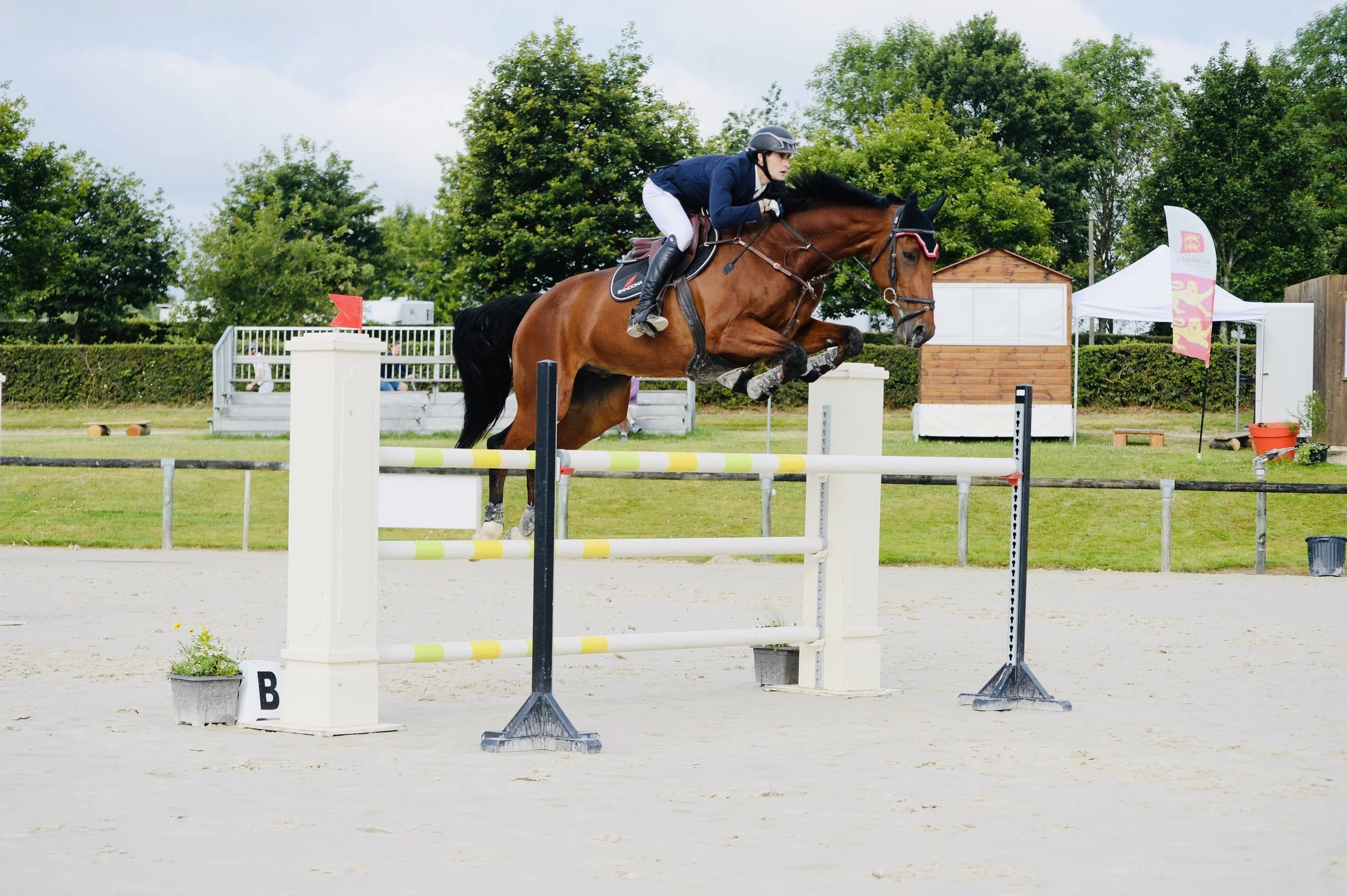 Un cavalier en combinaison noire et pantalon blanc saute un obstacle en concours hippique sur un cheval brun dans une aire de compétition en plein air avec des arbres en arrière-plan.