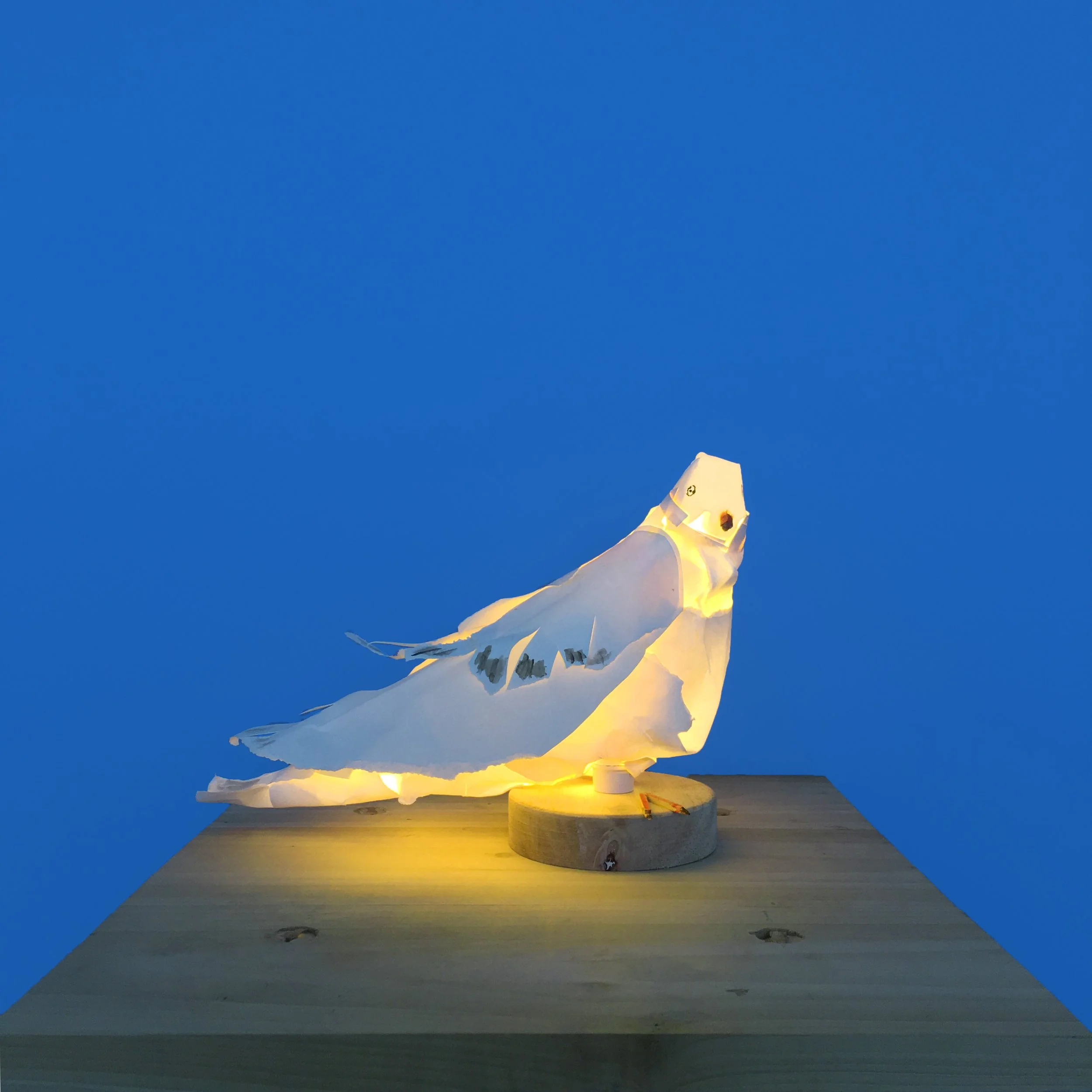 sittingbird1(boom).jpg