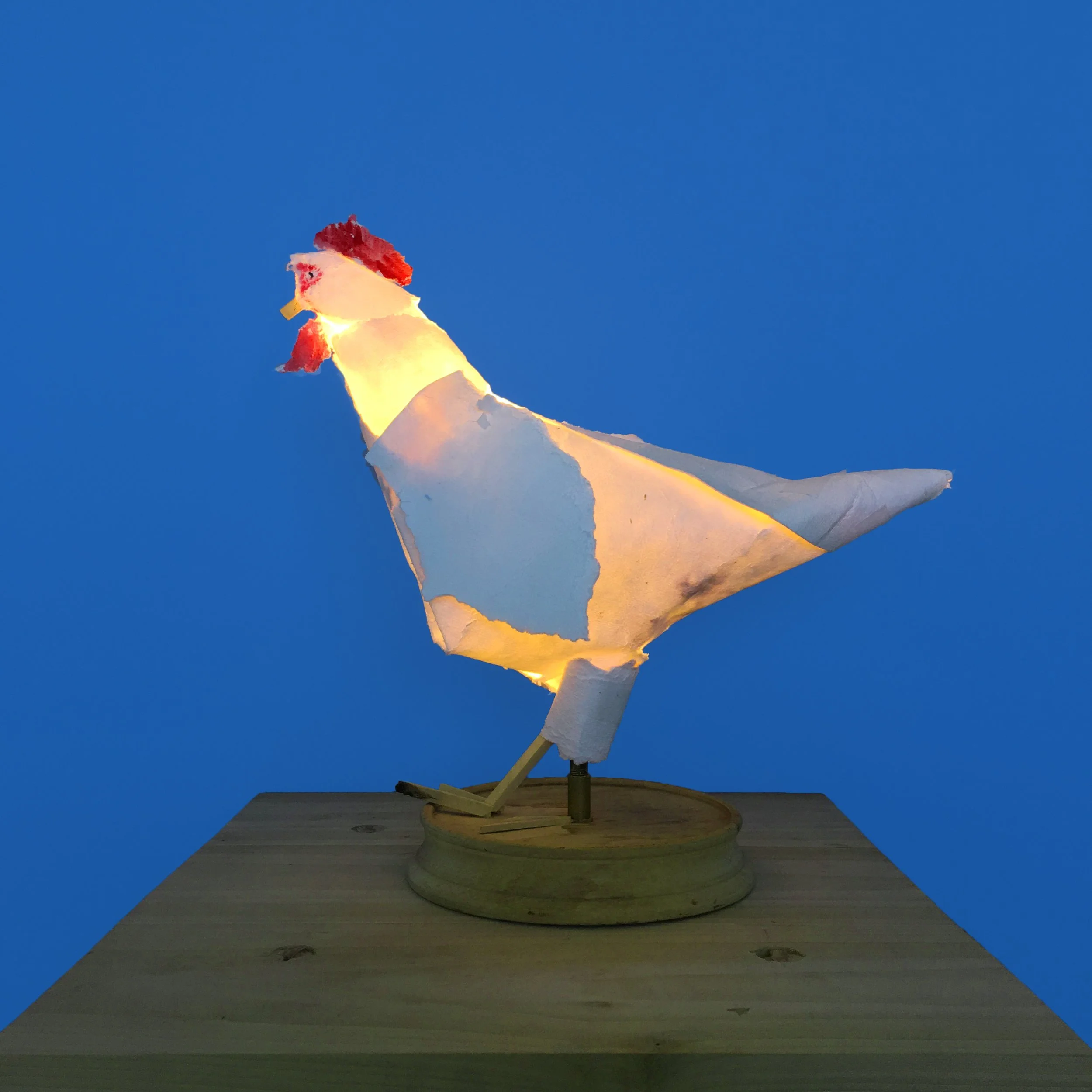 chicken(boom).jpg