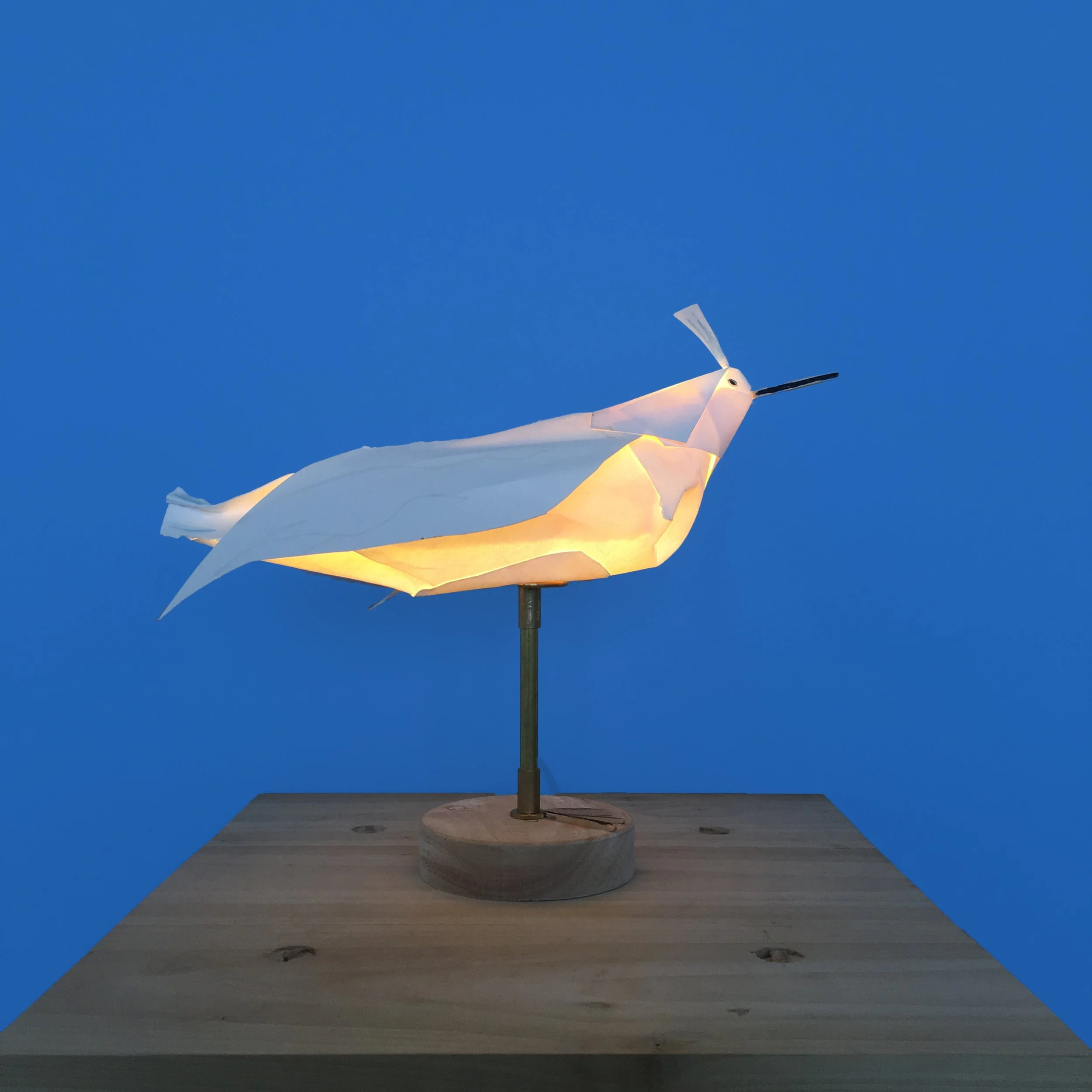 standingbird1(boom).jpg