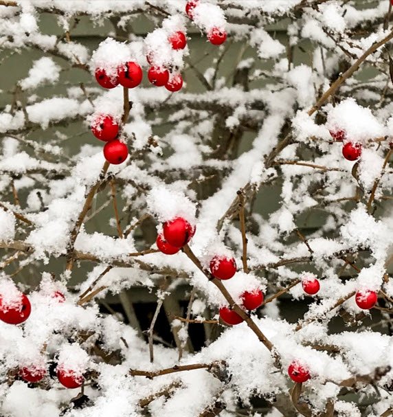 Winter Solstice Service