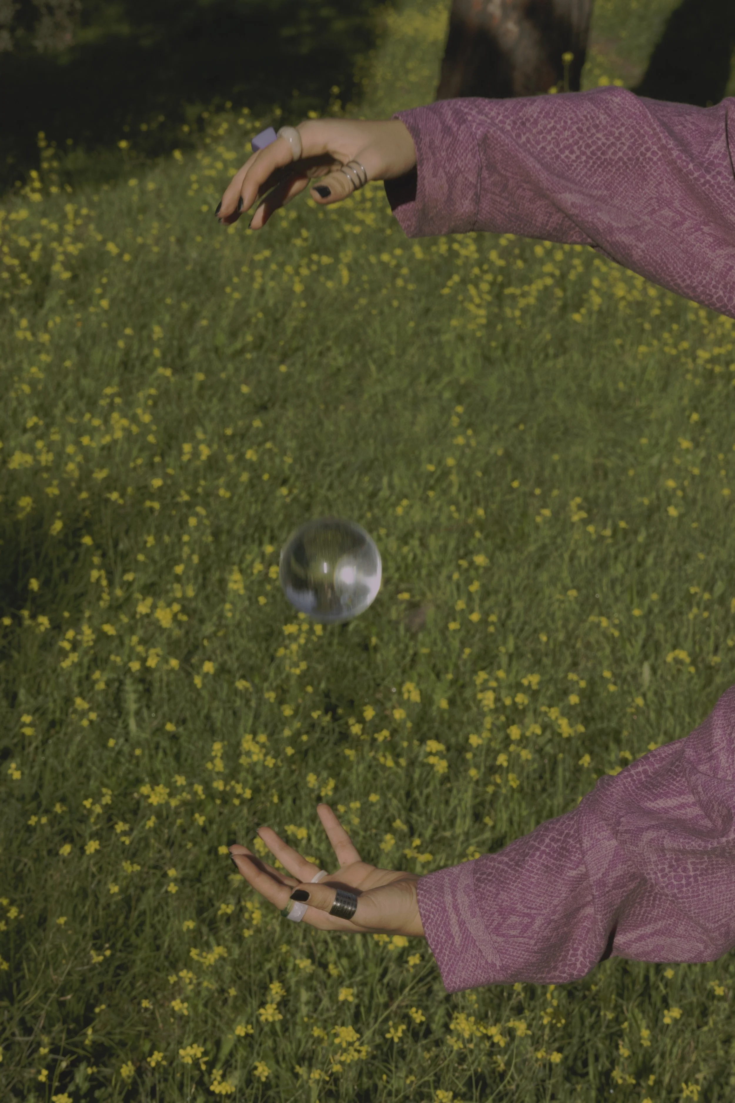 44_Alice.jpg