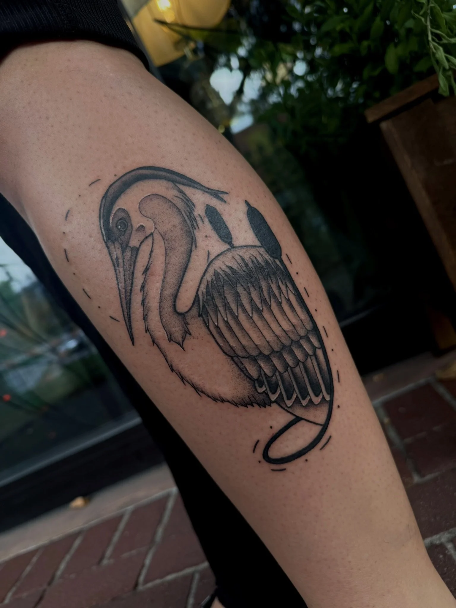 Folk style tattoo of a crane in black and gray ink by Leah Fries, located at Moth to a Flame Tattoo, Old Colorado City