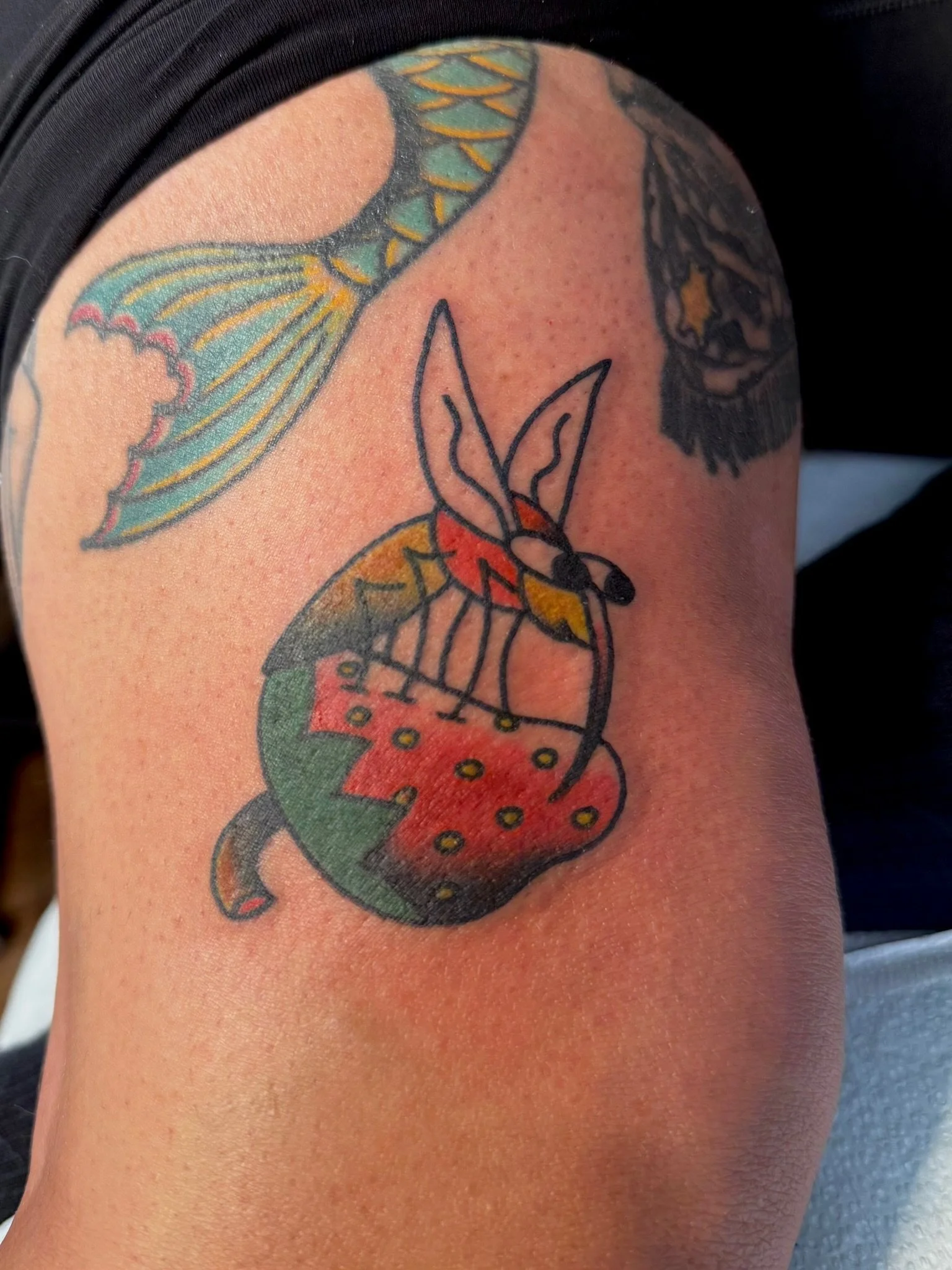 Full color tattoo of a mosquito sitting on a strawberry in a folksy style by Leah Fries located in Colorado Springs