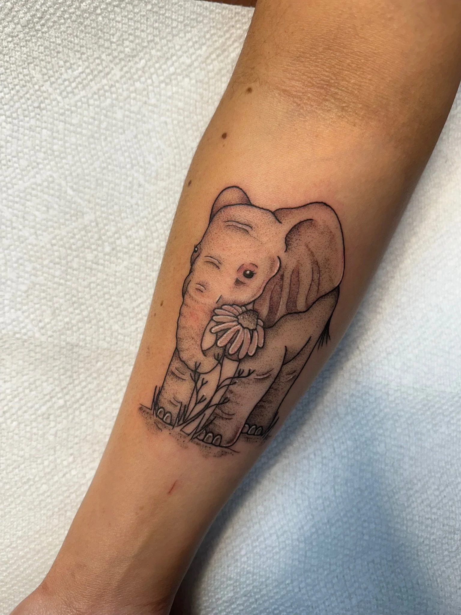 Fine line tattoo of a baby elephant with a flower in black and gray ink by Leah Fries, located at Moth to a Flame Tattoo, Colorado Springs