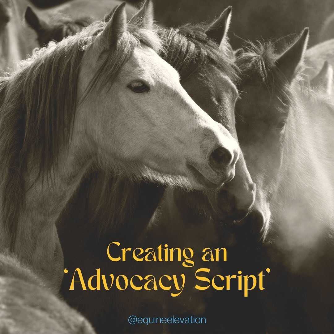 April Class inside Equine Elementals:

✍️ Creating An &lsquo;Advocacy Script&rsquo;
🗓️ Thursday, April 18th at 11am PST

There are many times in this life with horses where we are faced with the need to advocate on their behalf, and often ours as we