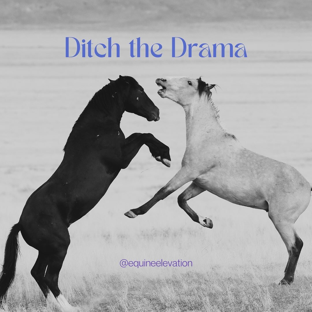 May Class inside Equine Elementals:

✍️ Ditch the Drama
🗓️ Tuesday, May 7th at 1pm PST

Hands up if you&rsquo;re a horse person who has never experienced horse-related drama. 🙋🏻&zwj;♀️

I know your hand isn&rsquo;t up because relational dynamics a