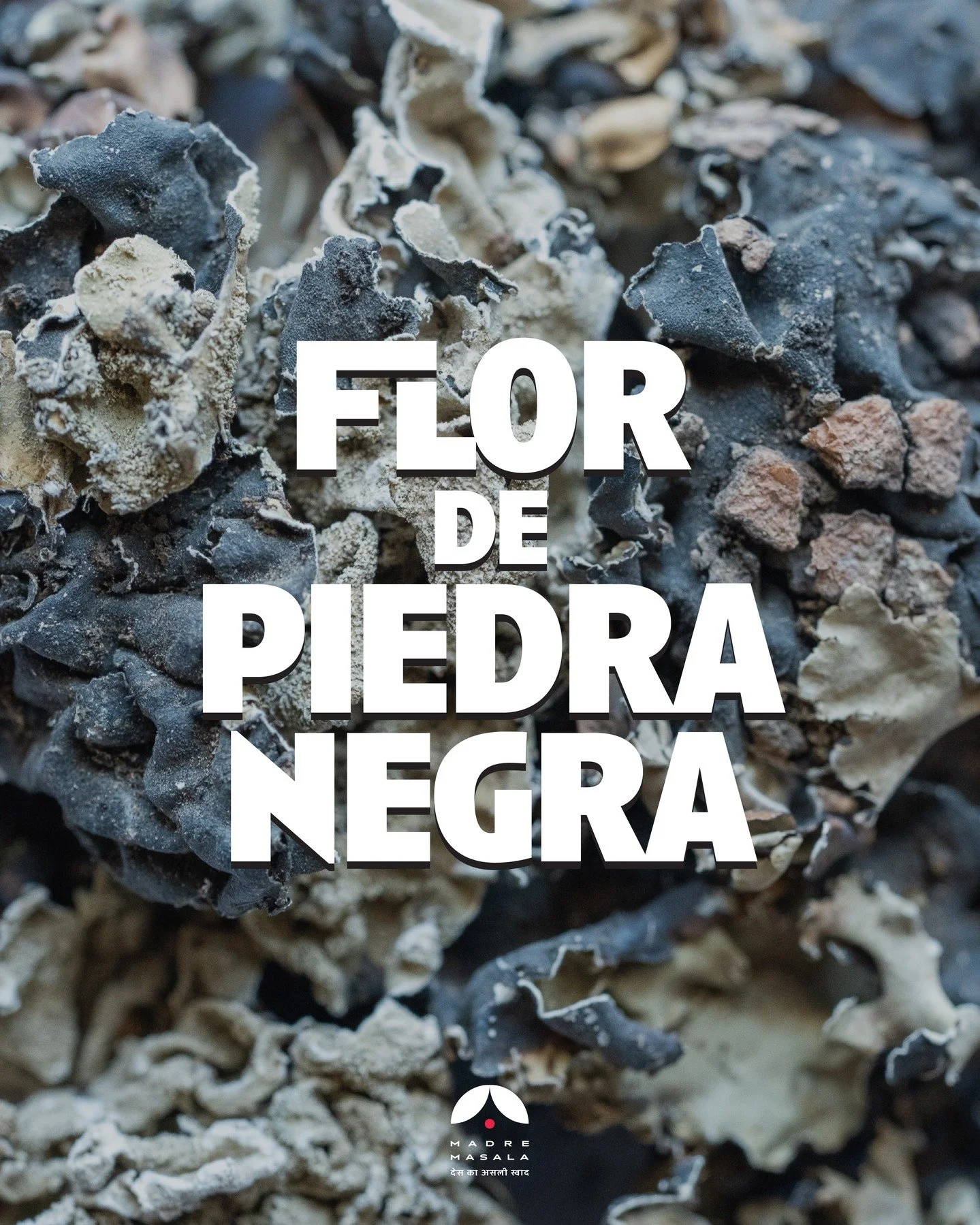 🖤🌿 Dagad Phool: el secreto ahumado de la cocina india 🌿🖤
Parece una flor seca, se siente como una piedra&hellip; pero es pura magia arom&aacute;tica. ✨ El Dagad Phool, tambi&eacute;n conocido como flor de piedra negra, es una especia &uacute;nica