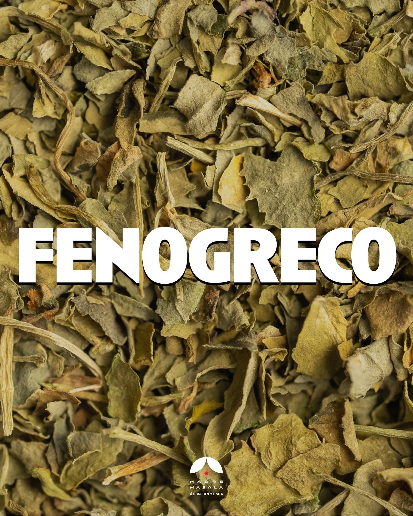 🌿✨ Kasuri Methi: El Secreto Arom&aacute;tico de la Cocina India ✨🌿

Peque&ntilde;as hojas, gran impacto. Las hojas secas de fenogreco o kasuri methi, es uno de los ingredientes m&aacute;s queridos en la cocina del norte de India. Su aroma es terros