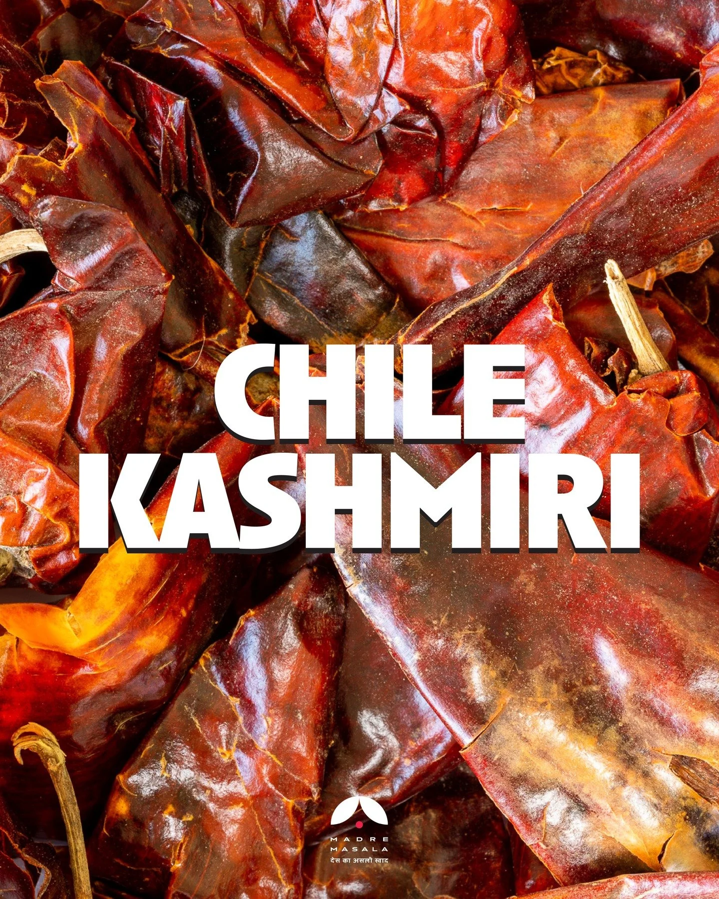 🔥🌶 Kashmiri Mirch: Color sin Fuego, Sabor con Alma 🌶🔥
El chile Kashmiri (Kashmiri Mirch) es una joya de la despensa india. Amado por su vibrante color rojo rub&iacute; y su sabor suave, este chile no abrasa, &iexcl;pero s&iacute; deslumbra! ✨
Per