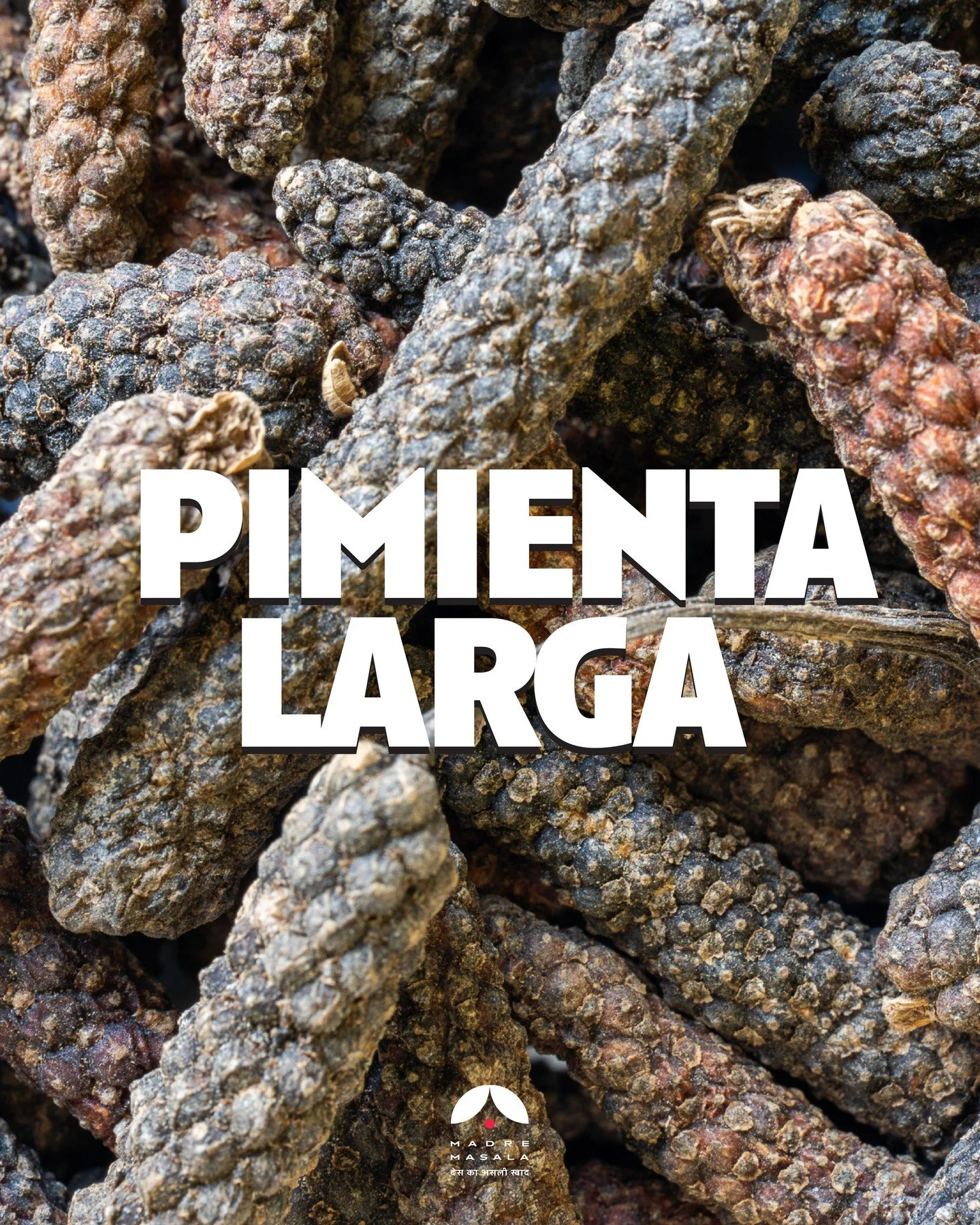 🌿🔥 P&iacute;ppali: el oro picante del Ayurveda 🔥🌿 
Antes de la pimienta negra, estuvo el p&iacute;ppali &ndash; una especia ancestral, alargada y poderosa que ha sido parte de la cocina y la medicina india durante miles de a&ntilde;os.
🍛 En la c