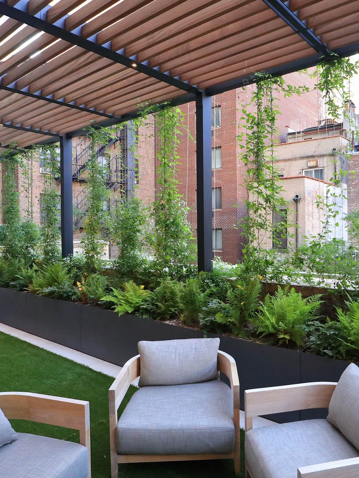Shade pergola with climbing vines and outdoor lounge space - landscape garden design