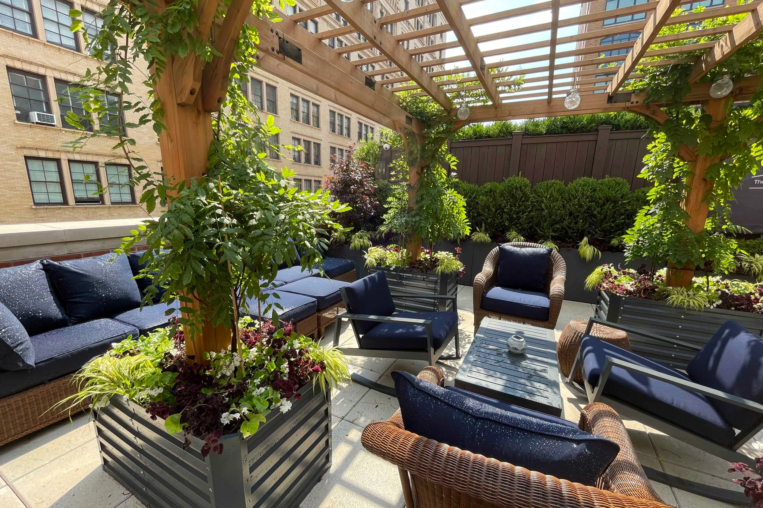 landscaping planting vines custom wood pergola rooftop garden New York City