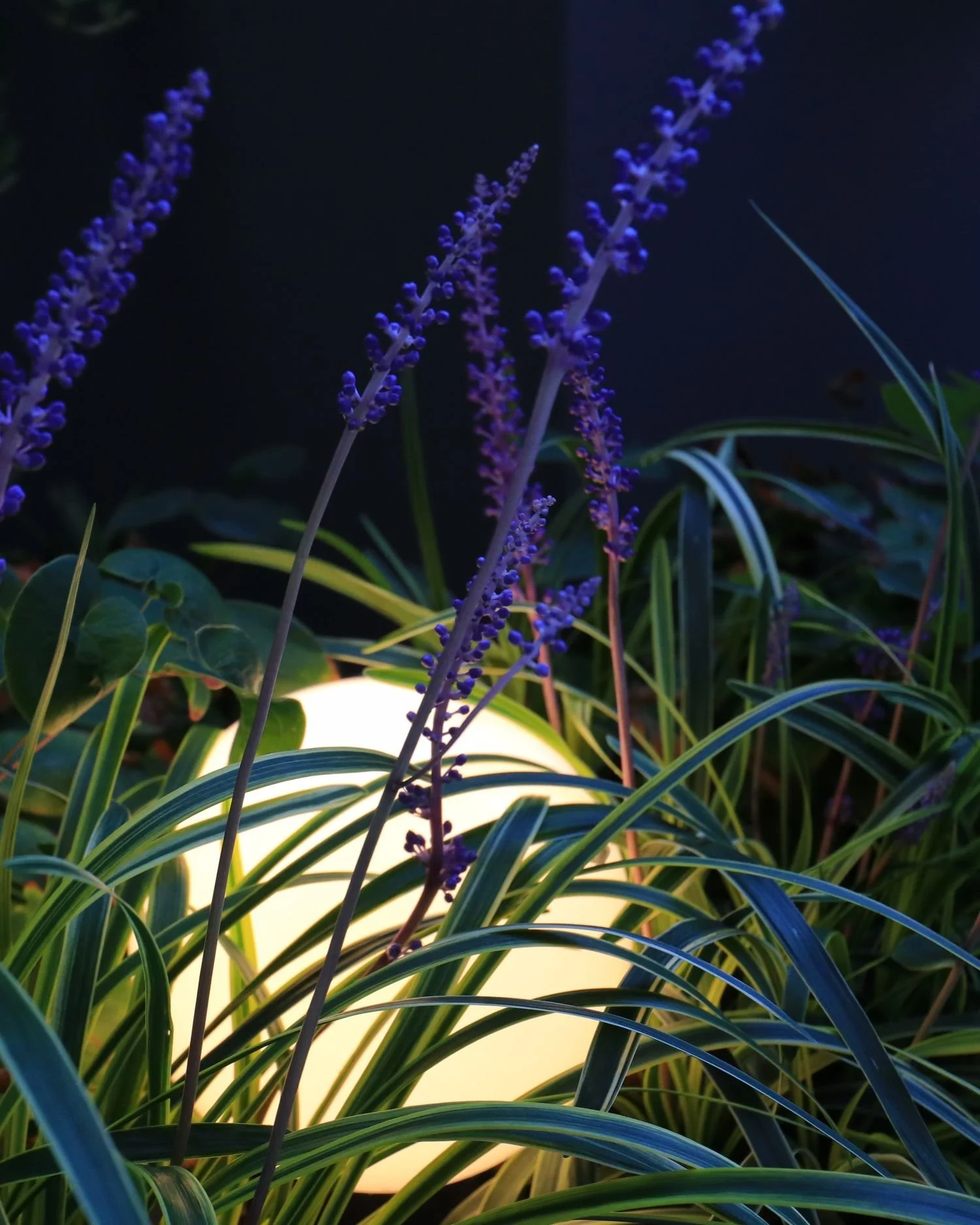 Outdoor landscape lighting on nyc rooftop
