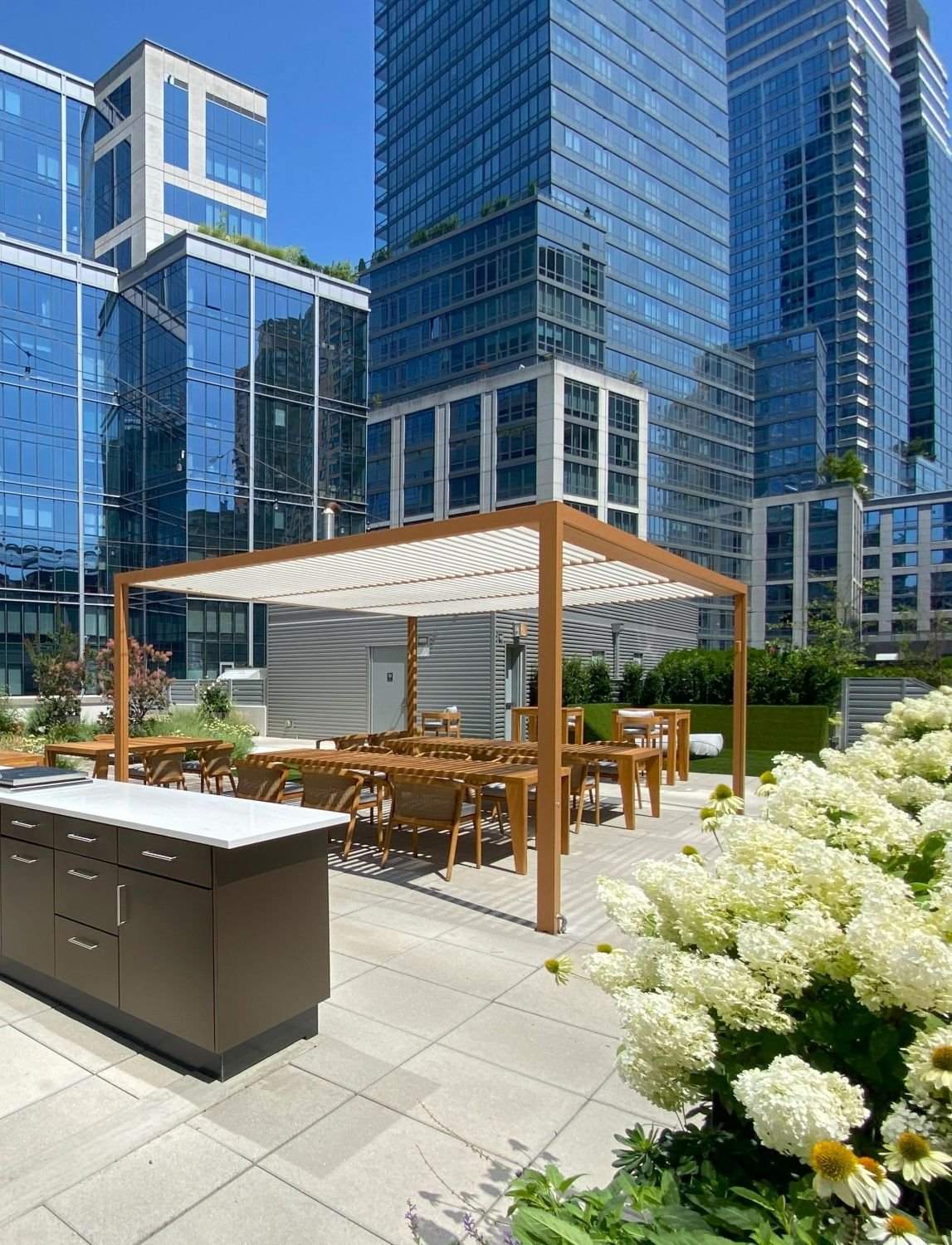 Amenity rooftop with pergola, grill, bar, and lush greenroof planting.