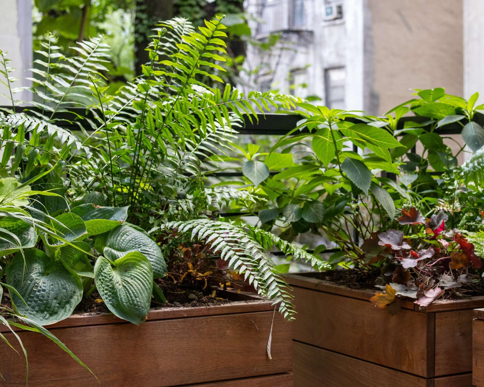 Wood planters on balcony in NYC