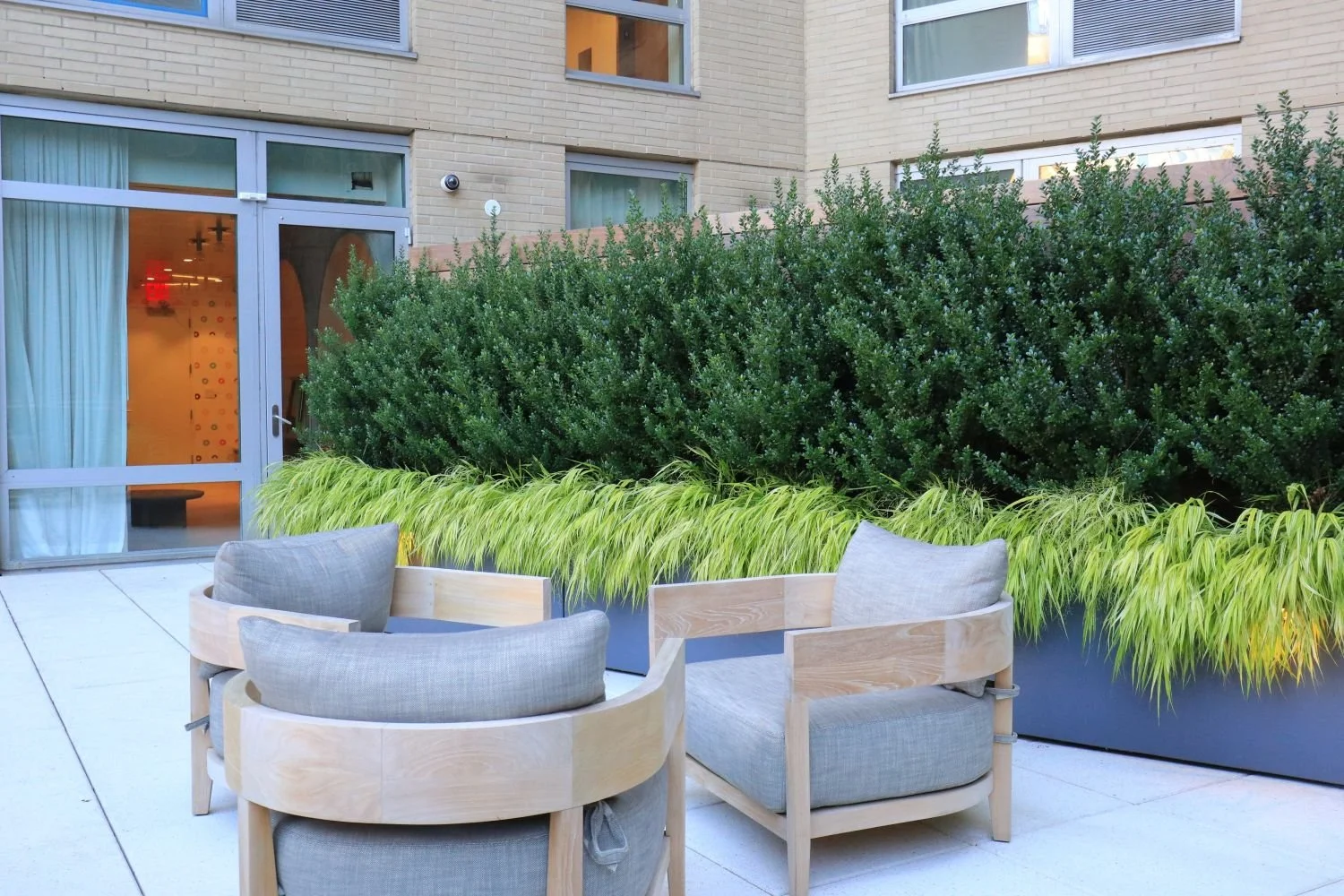 Shade garden with evergreen screening and outdoor lounge space