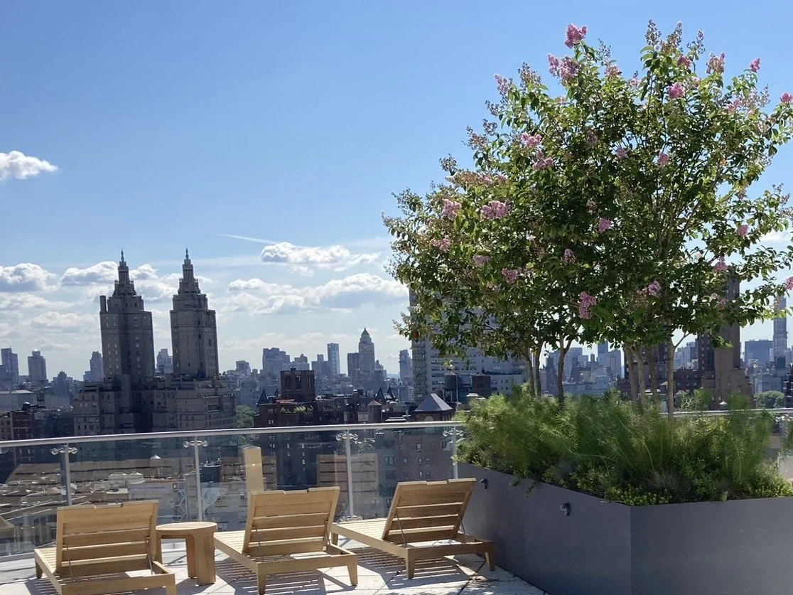 An amenity rooftop in NYC has flowering trees and plants. Crape Myrtle and Amsonia.