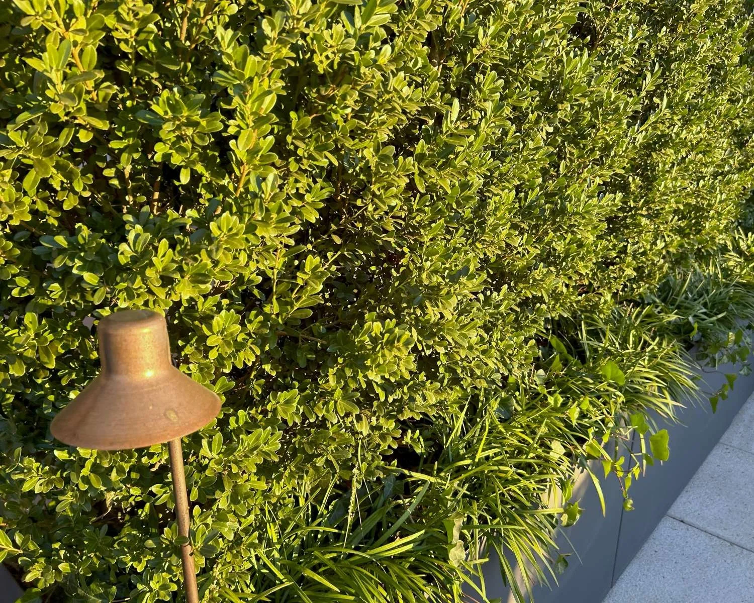 rooftop-garden-design-landscape-light-fixture-ilex-schwoebel (2).jpg
