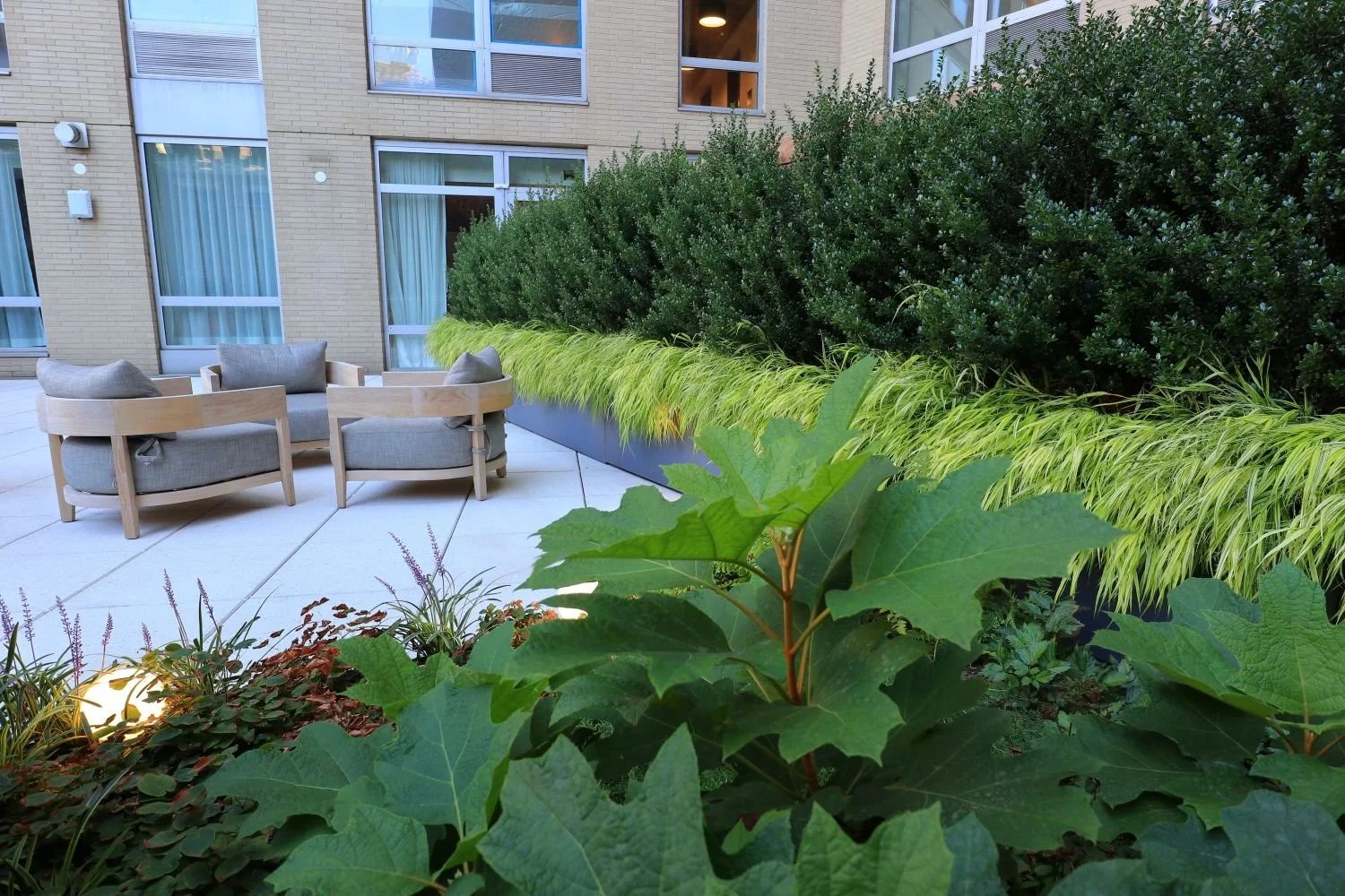 Shade garden with evergreen screening and outdoor lounge space