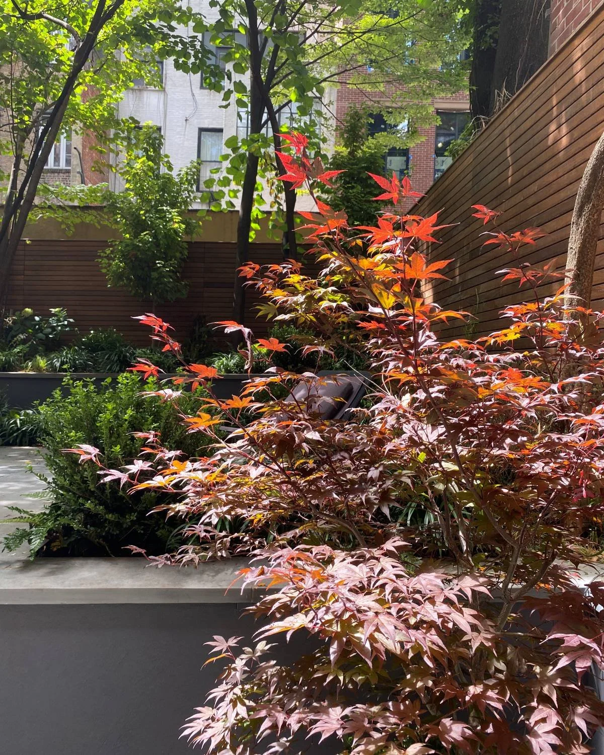Greenwich Village NYC landscape design and installation. Shade garden with Bluestone patio and Ipe fence 