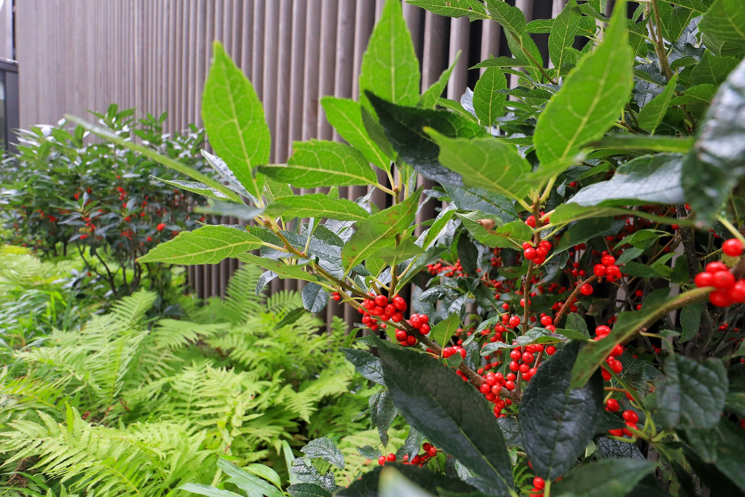 Contact Us TOWN GARDENS Contact us town gardens