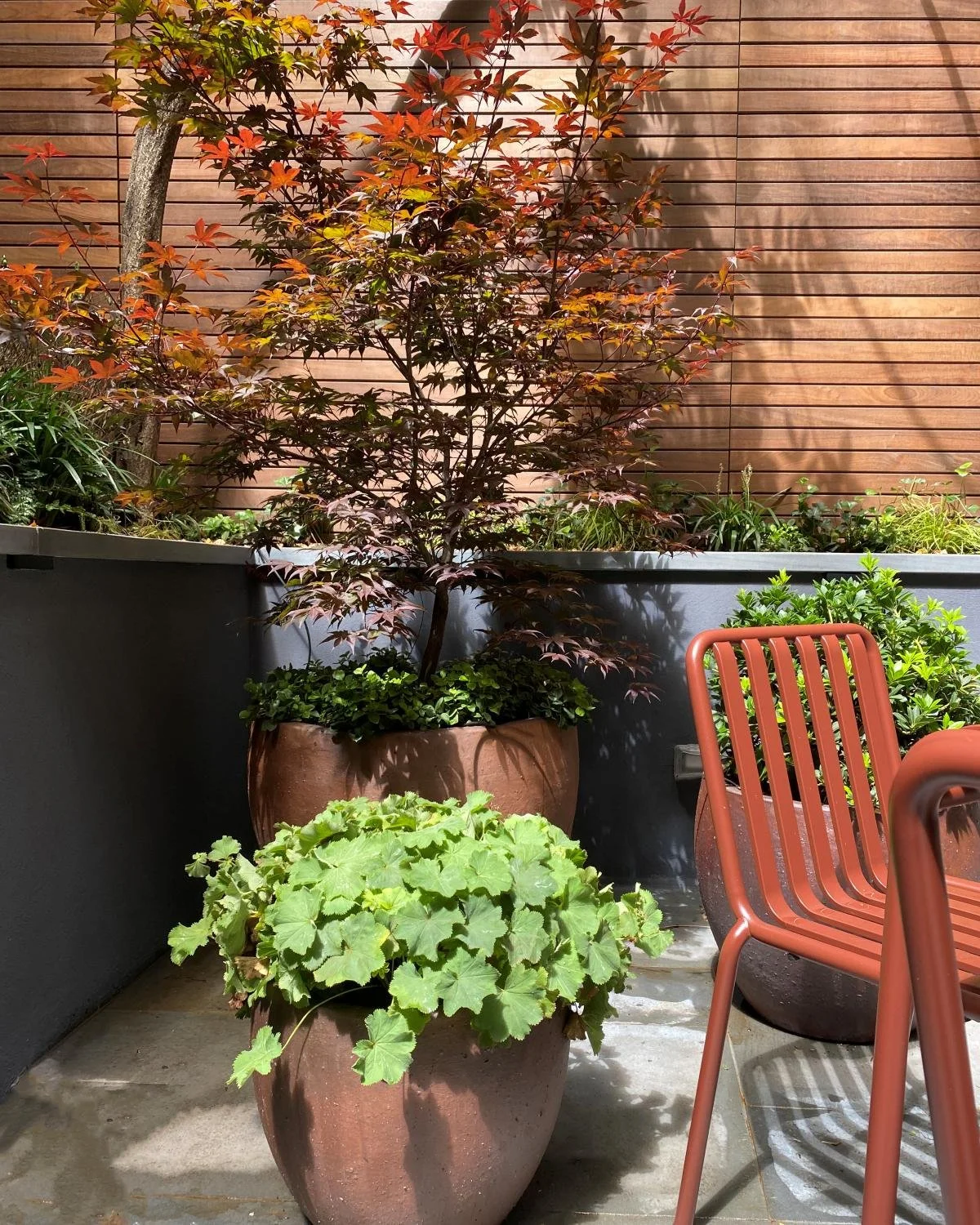 Natural stone backyard landscape design in NYC. Japanese maple, shade plants, and Hay Furniture