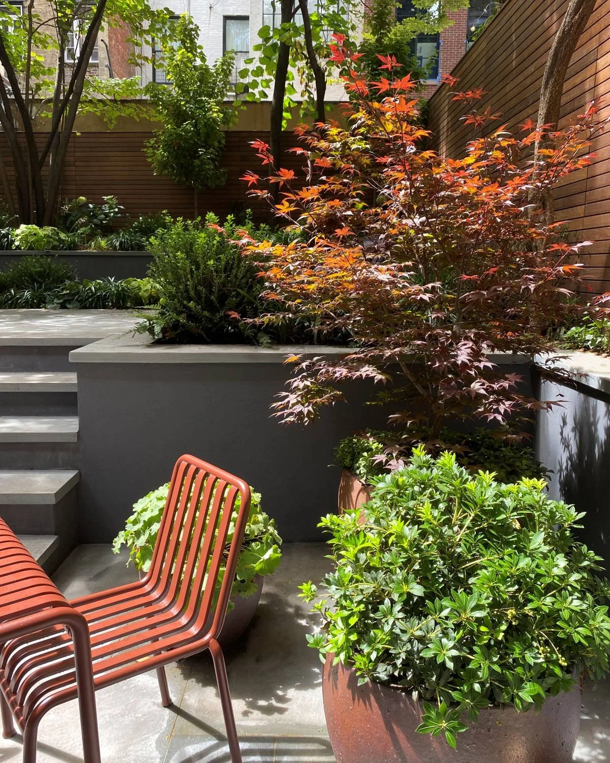 Traditional bluestone patio with stucco retaining walls. Japanese maple and red clay pots