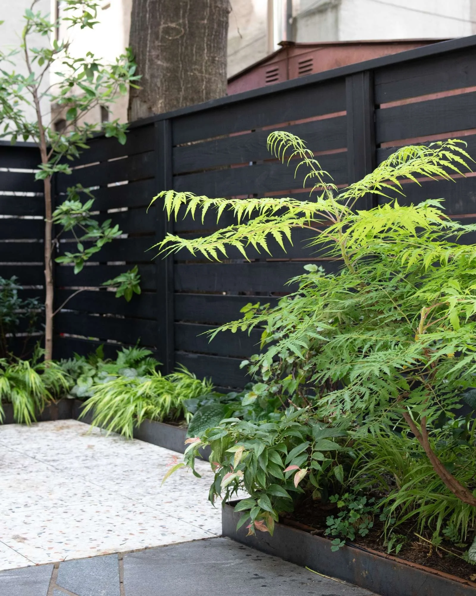 Shade garden with black fence and terrazzo paving