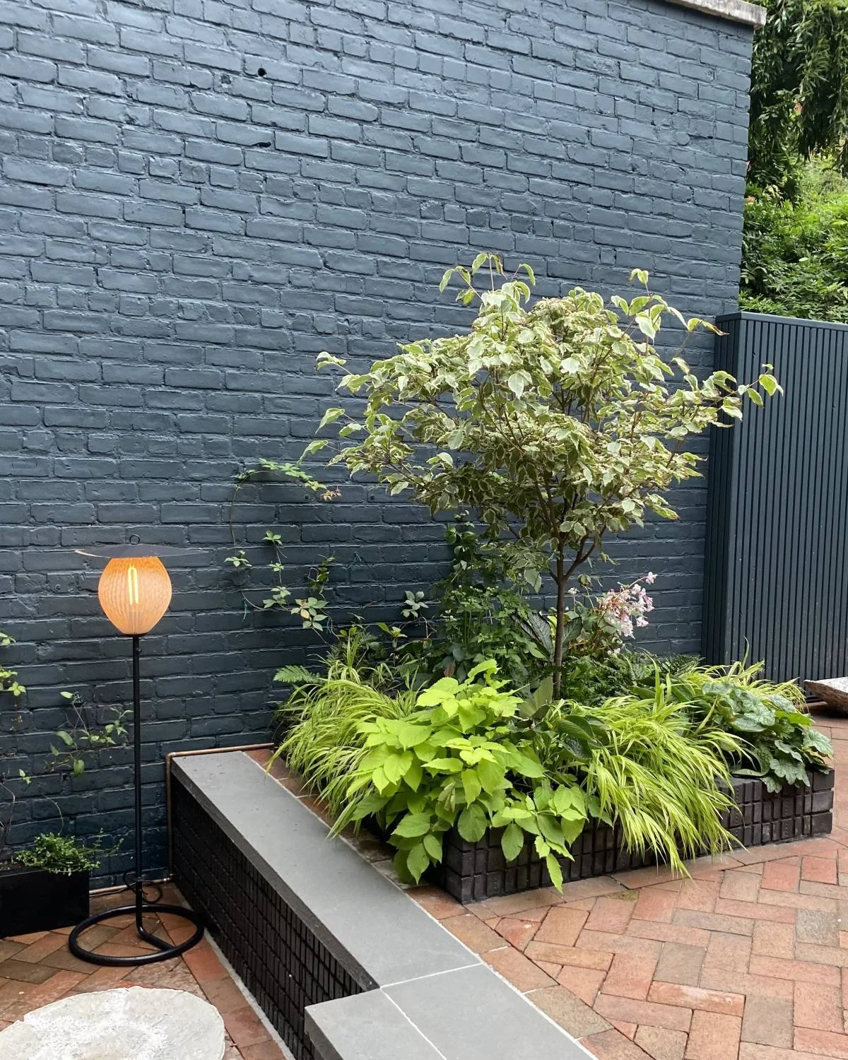 Modern design shade garden plants with a variegated-dogwood