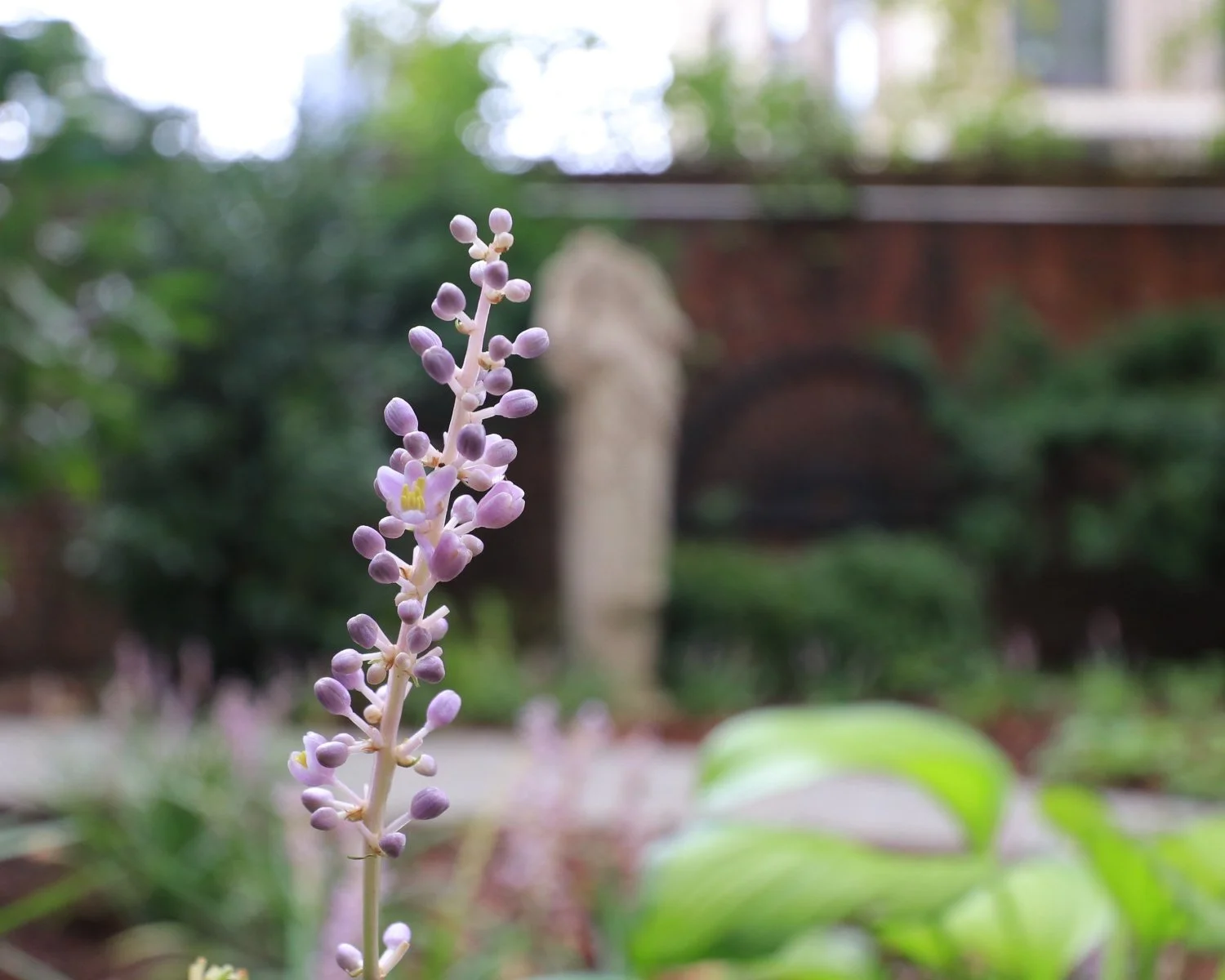 Traditional courtyard statue design. Perennial shade plants
