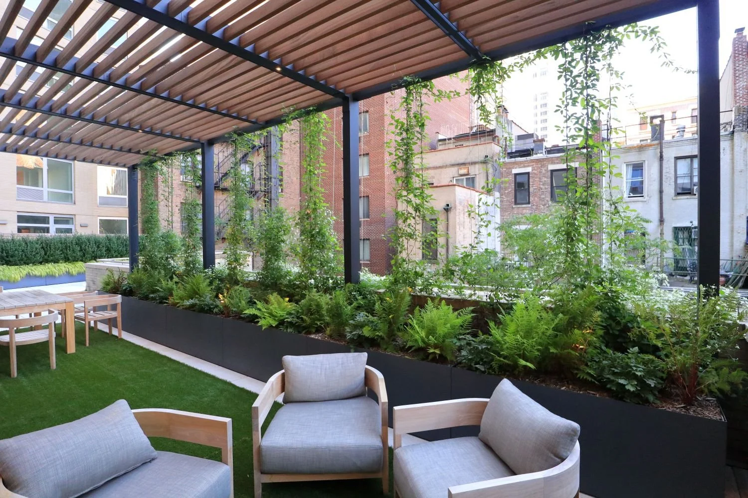 Shade pergola with climbing vines and outdoor lounge amenity space