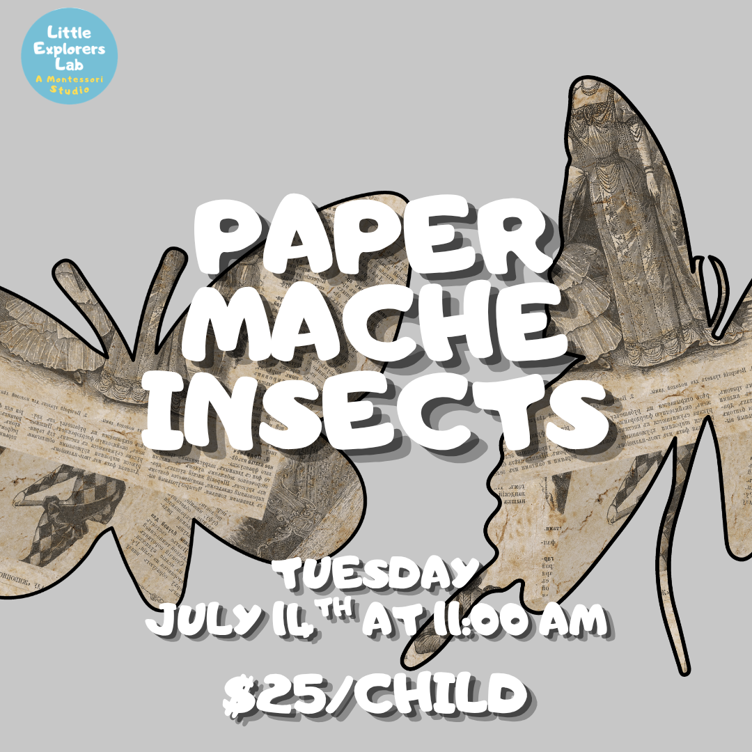 PAPER MACHE INSECTS