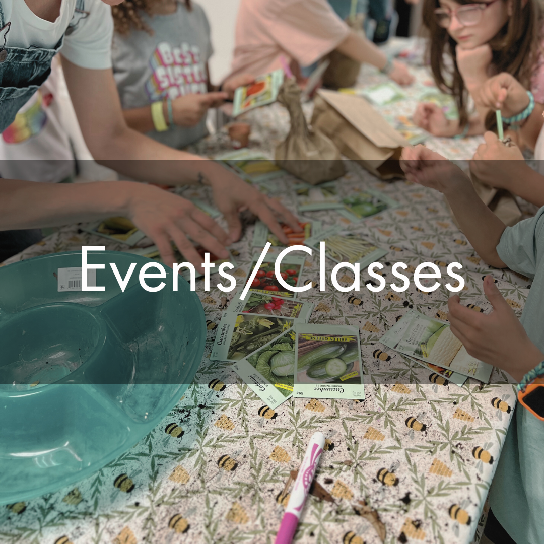 Little Explorers Lab