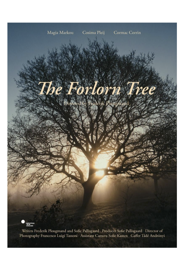 THE FORLORN TREE