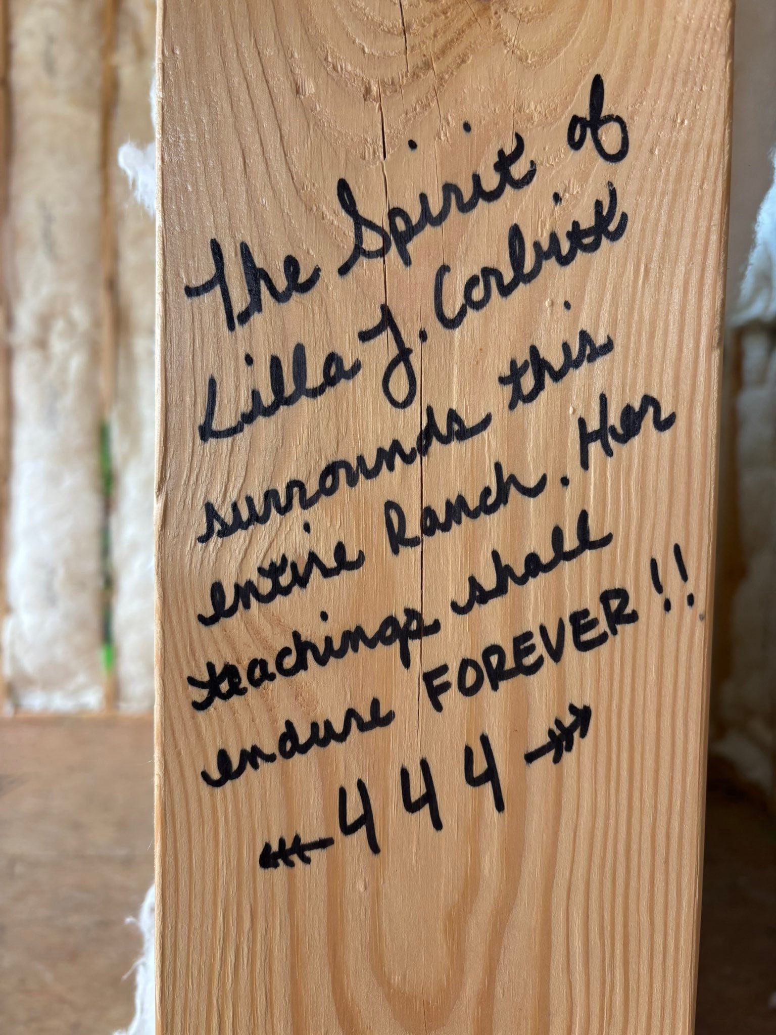 The studs behind the walls...