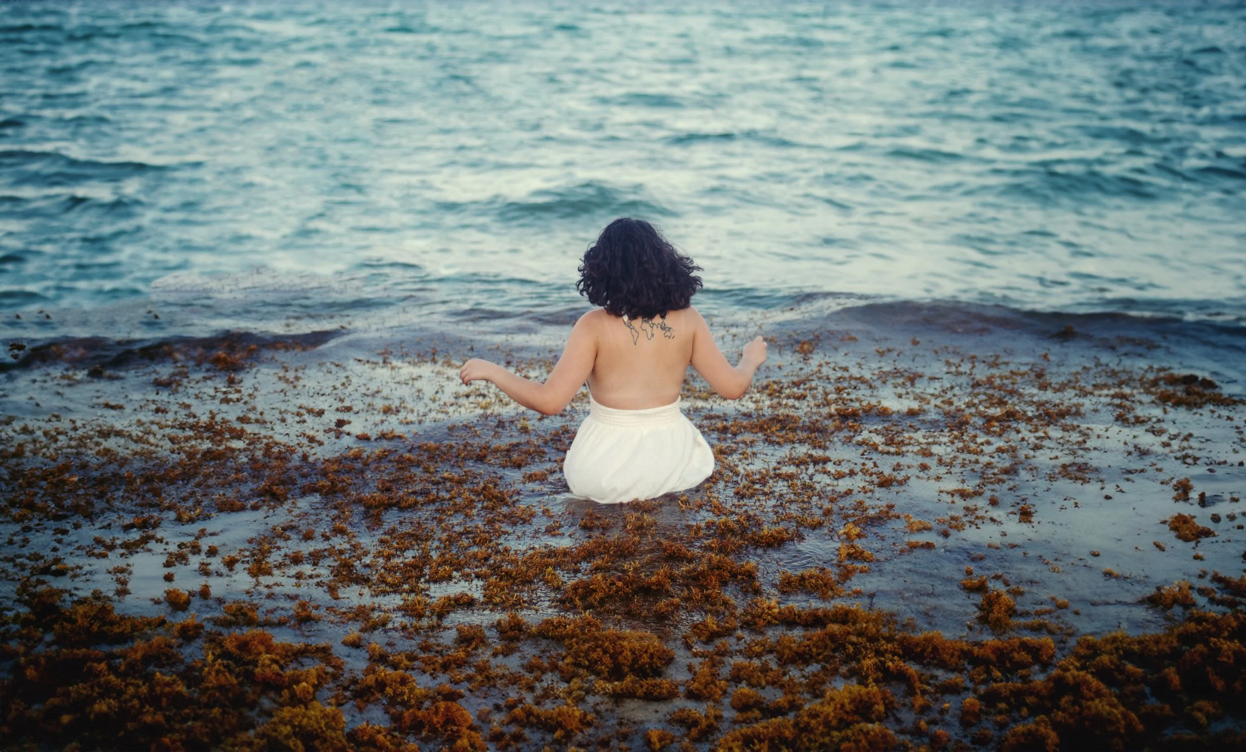 DSC_8414wide2 copy.jpg