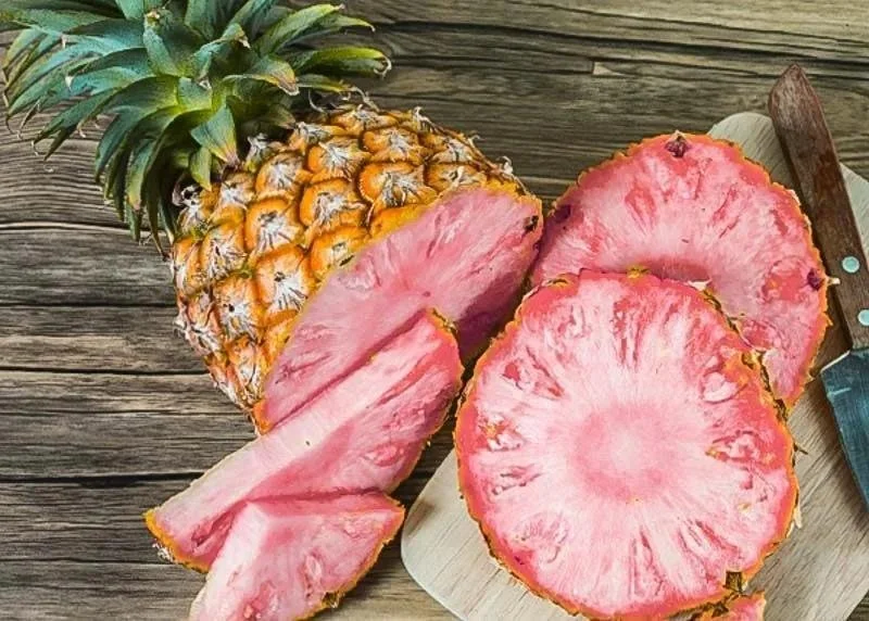 PINK PINEAPPLE