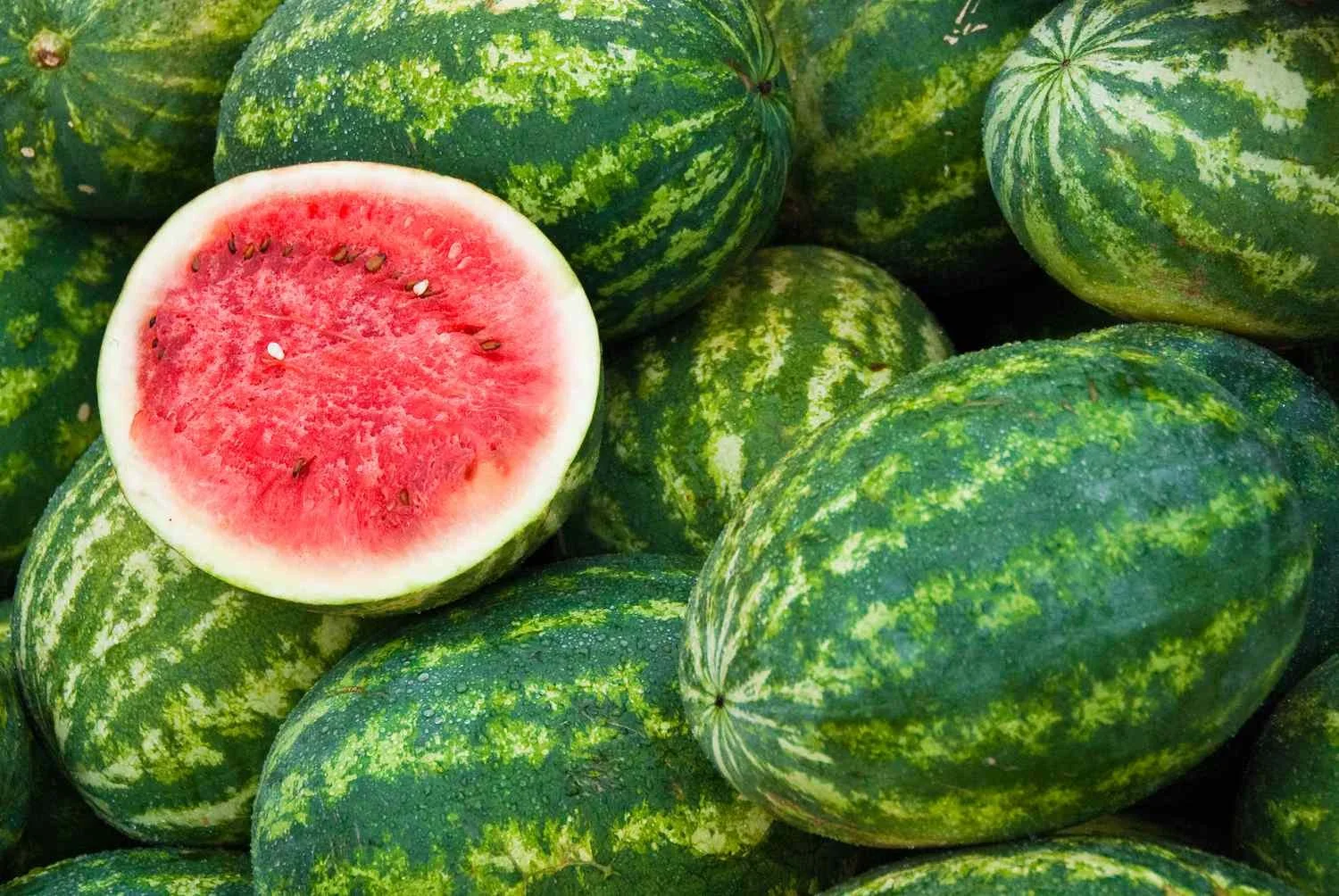 WHOLE SEEDED WATERMELON